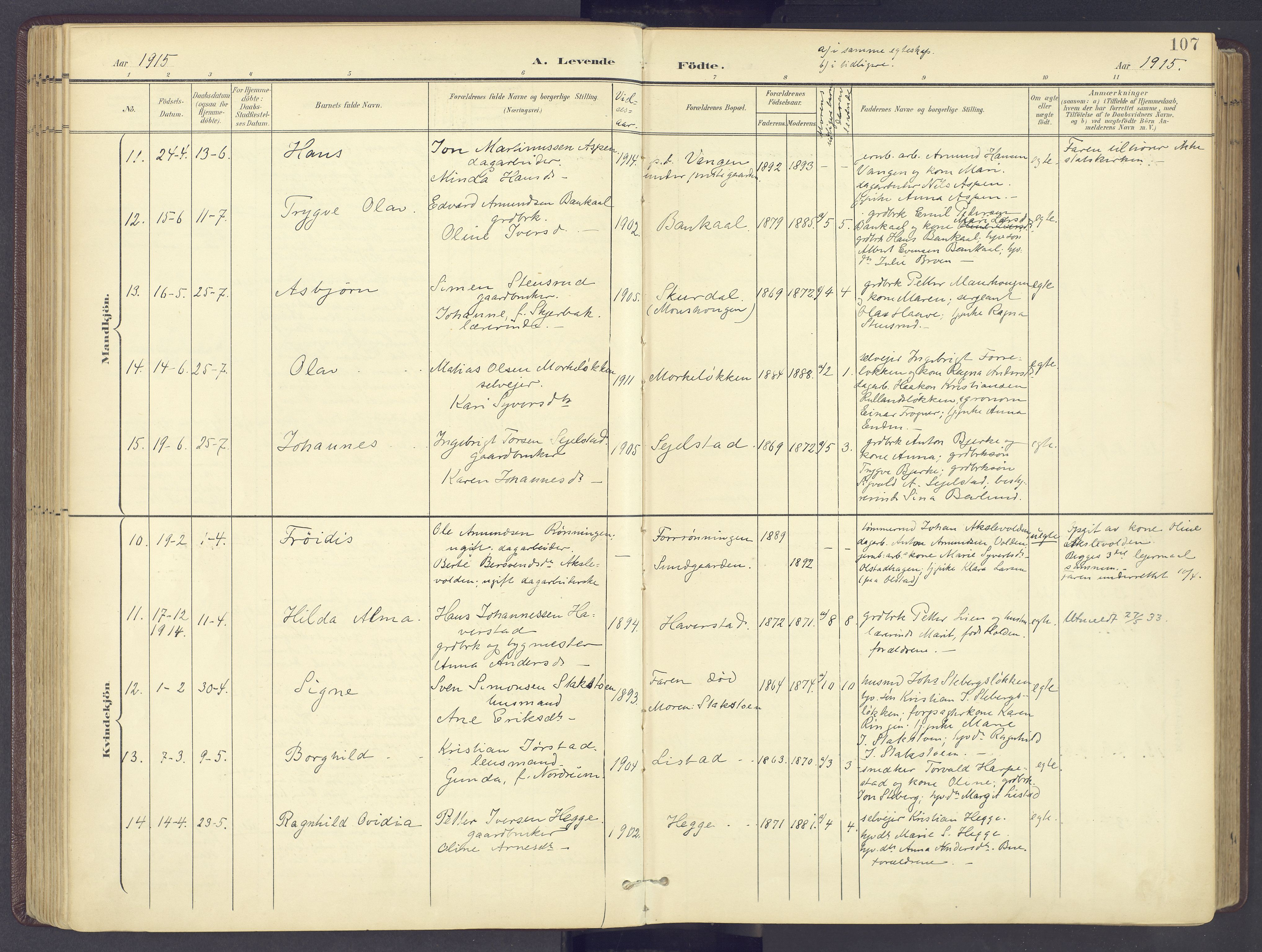 Sør-Fron prestekontor, SAH/PREST-010/H/Ha/Haa/L0004: Parish register (official) no. 4, 1898-1919, p. 107