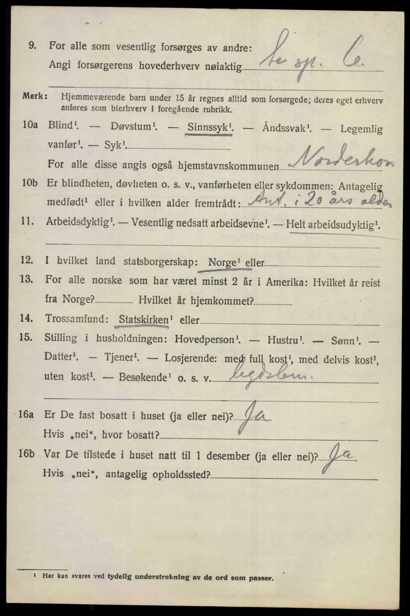 SAKO, 1920 census for Norderhov, 1920, p. 21343