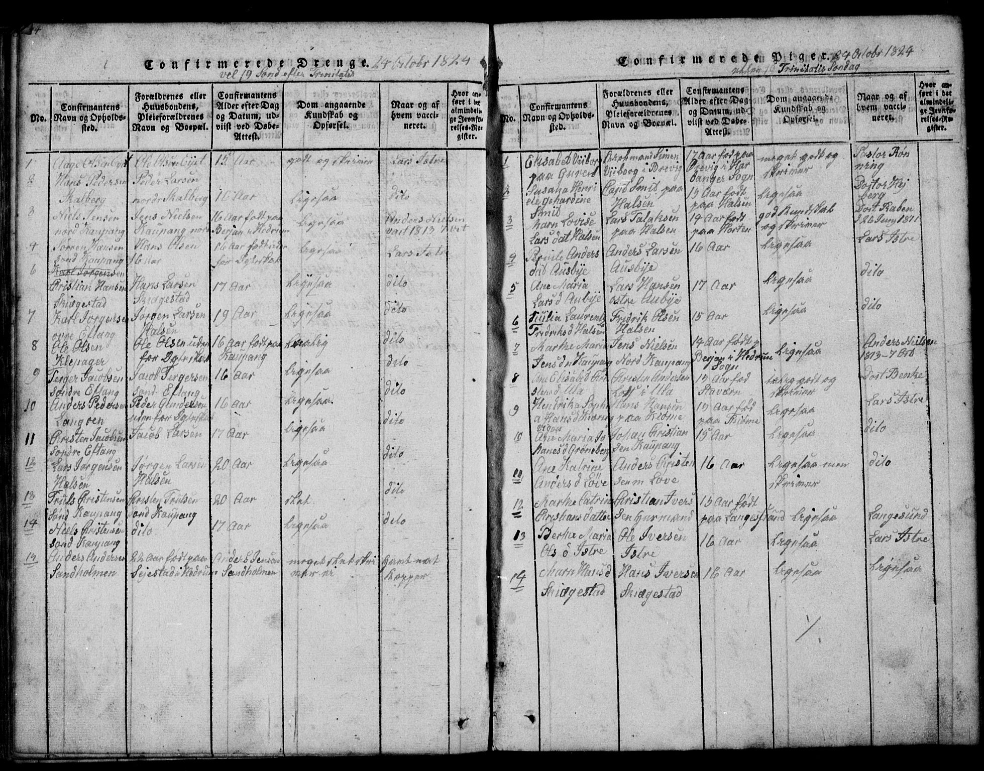Tjølling kirkebøker, SAKO/A-60/G/Ga/L0001: Parish register (copy) no. 1, 1814-1835, p. 504