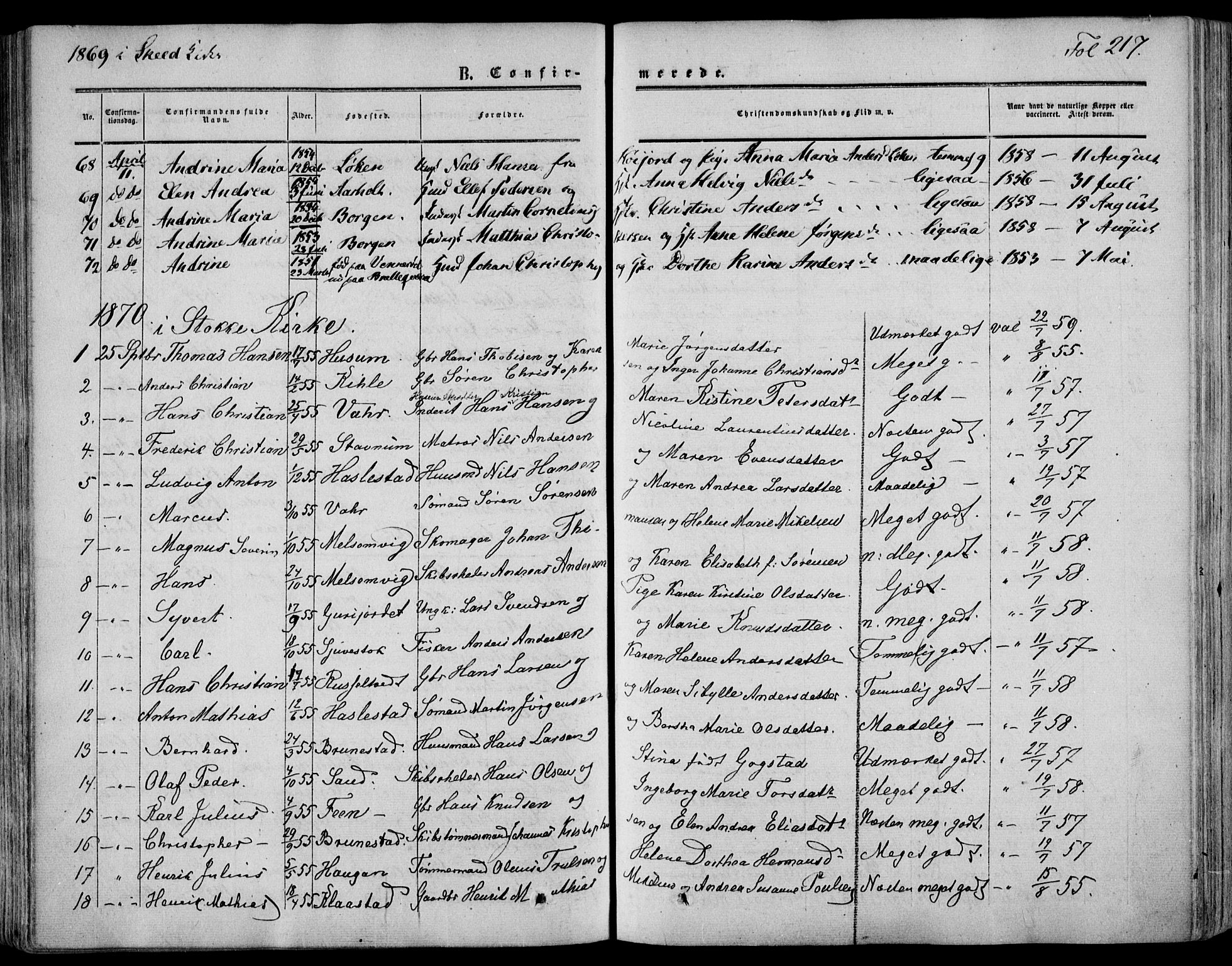 Stokke kirkebøker, SAKO/A-320/F/Fa/L0008: Parish register (official) no. I 8, 1858-1871, p. 217