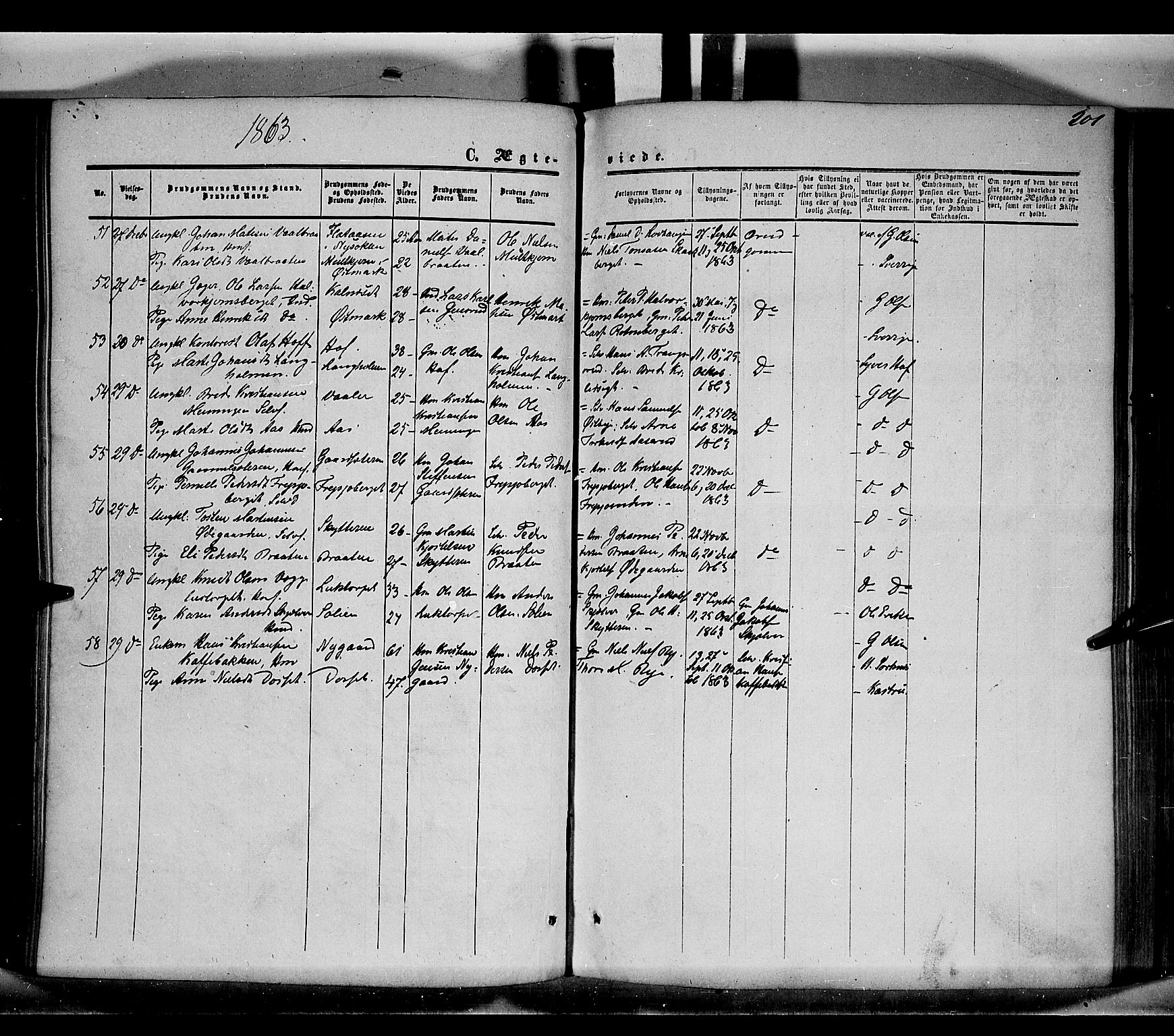 Grue prestekontor, AV/SAH-PREST-036/H/Ha/Haa/L0009: Parish register (official) no. 9, 1859-1863, p. 201