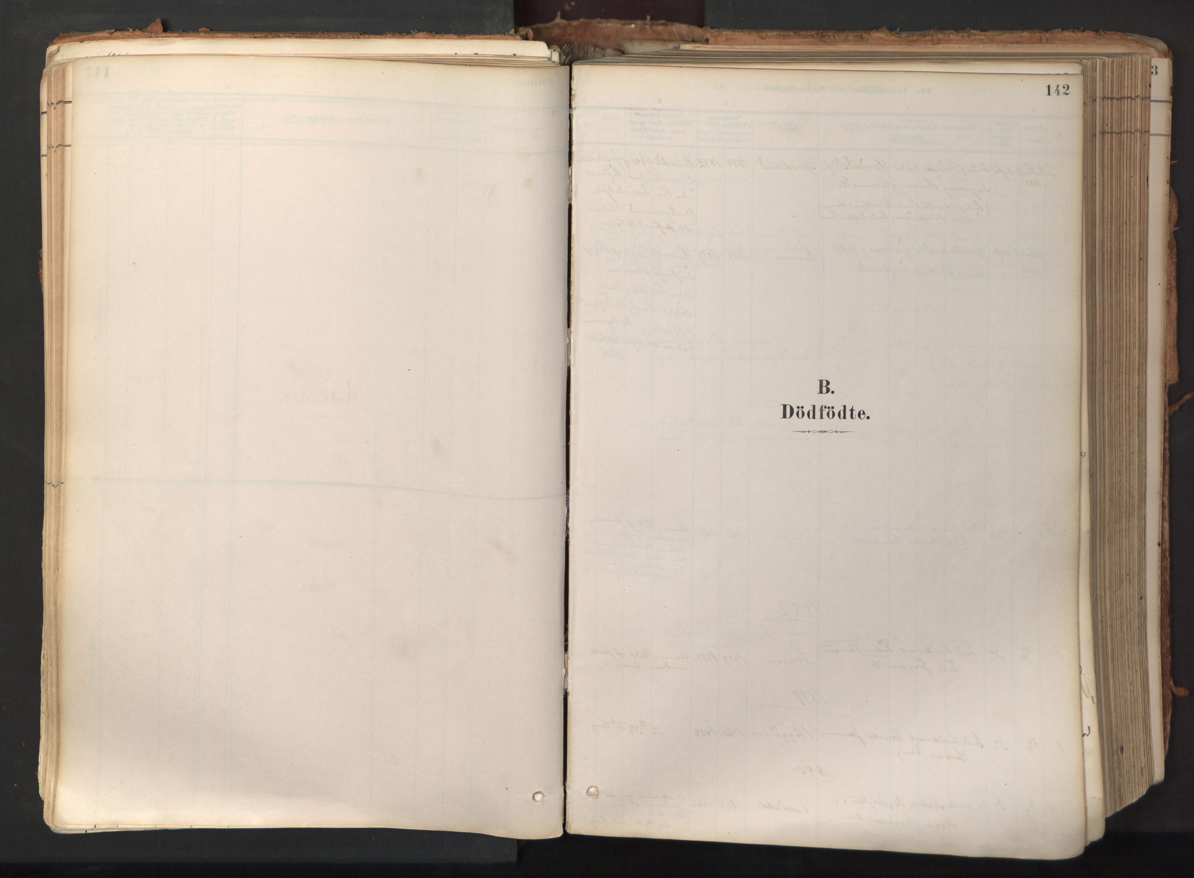 Ministerialprotokoller, klokkerbøker og fødselsregistre - Nord-Trøndelag, SAT/A-1458/758/L0519: Parish register (official) no. 758A04, 1880-1926, p. 142
