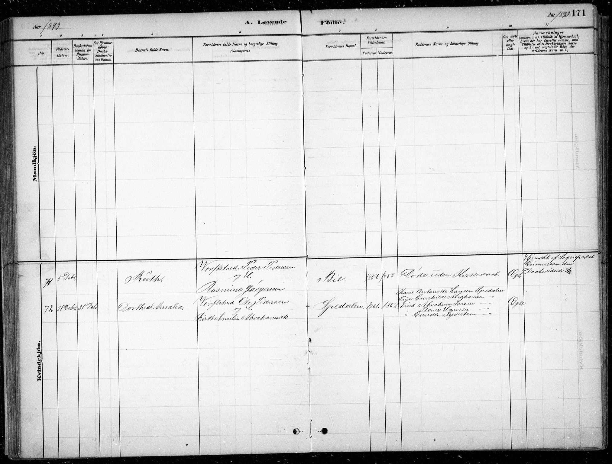 Fjære sokneprestkontor, AV/SAK-1111-0011/F/Fb/L0011: Parish register (copy) no. B 11, 1881-1905, p. 171