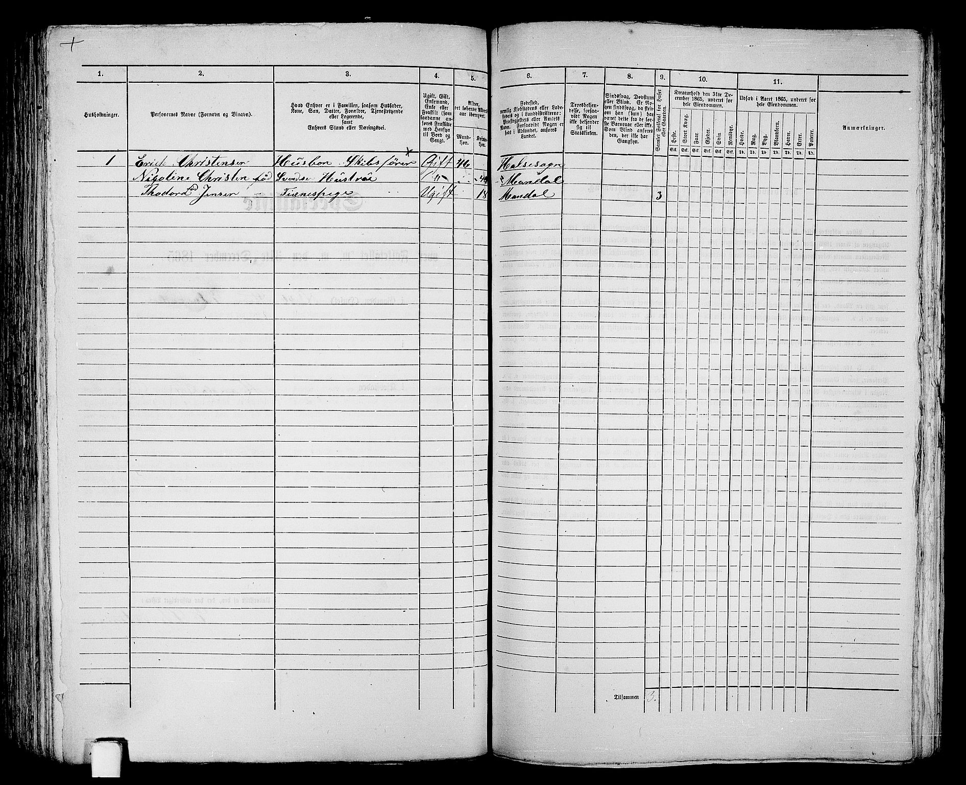 RA, 1865 census for Mandal/Mandal, 1865, p. 199