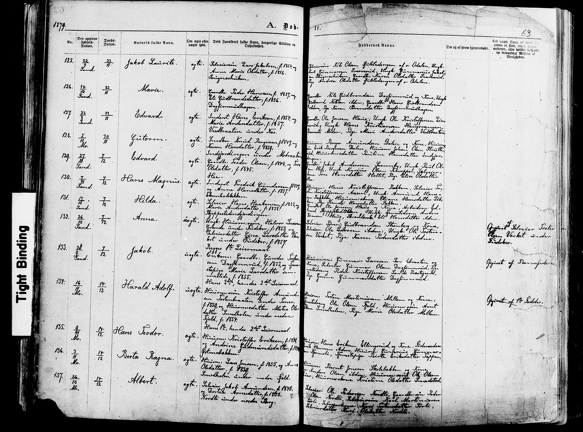 Nord-Odal prestekontor, AV/SAH-PREST-032/H/Ha/Haa/L0005: Parish register (official) no. 5, 1874-1885, p. 63