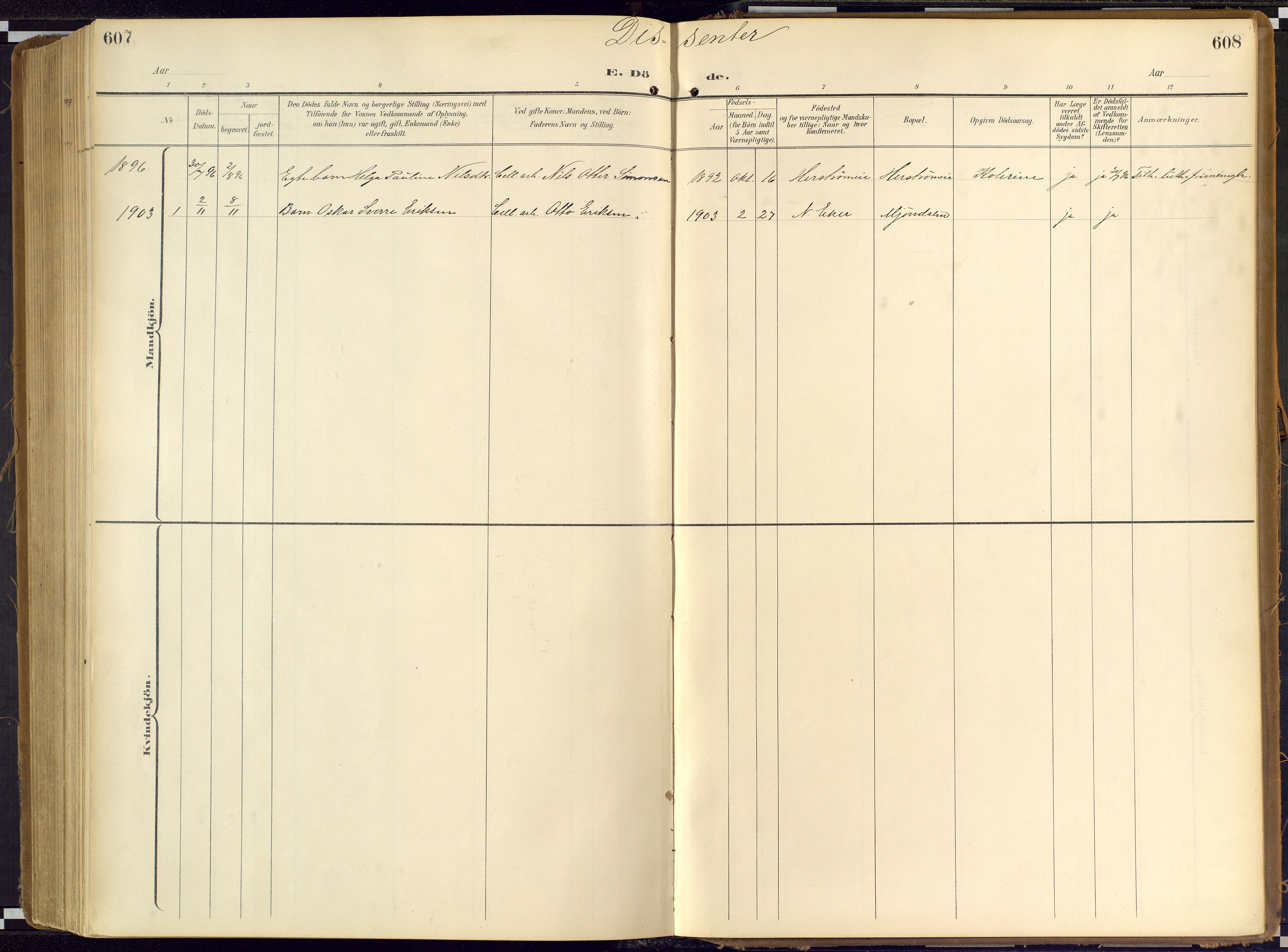 Nedre Eiker kirkebøker, SAKO/A-612/G/Ga/L0003: Parish register (copy) no. 3, 1896-1905, p. 607-608