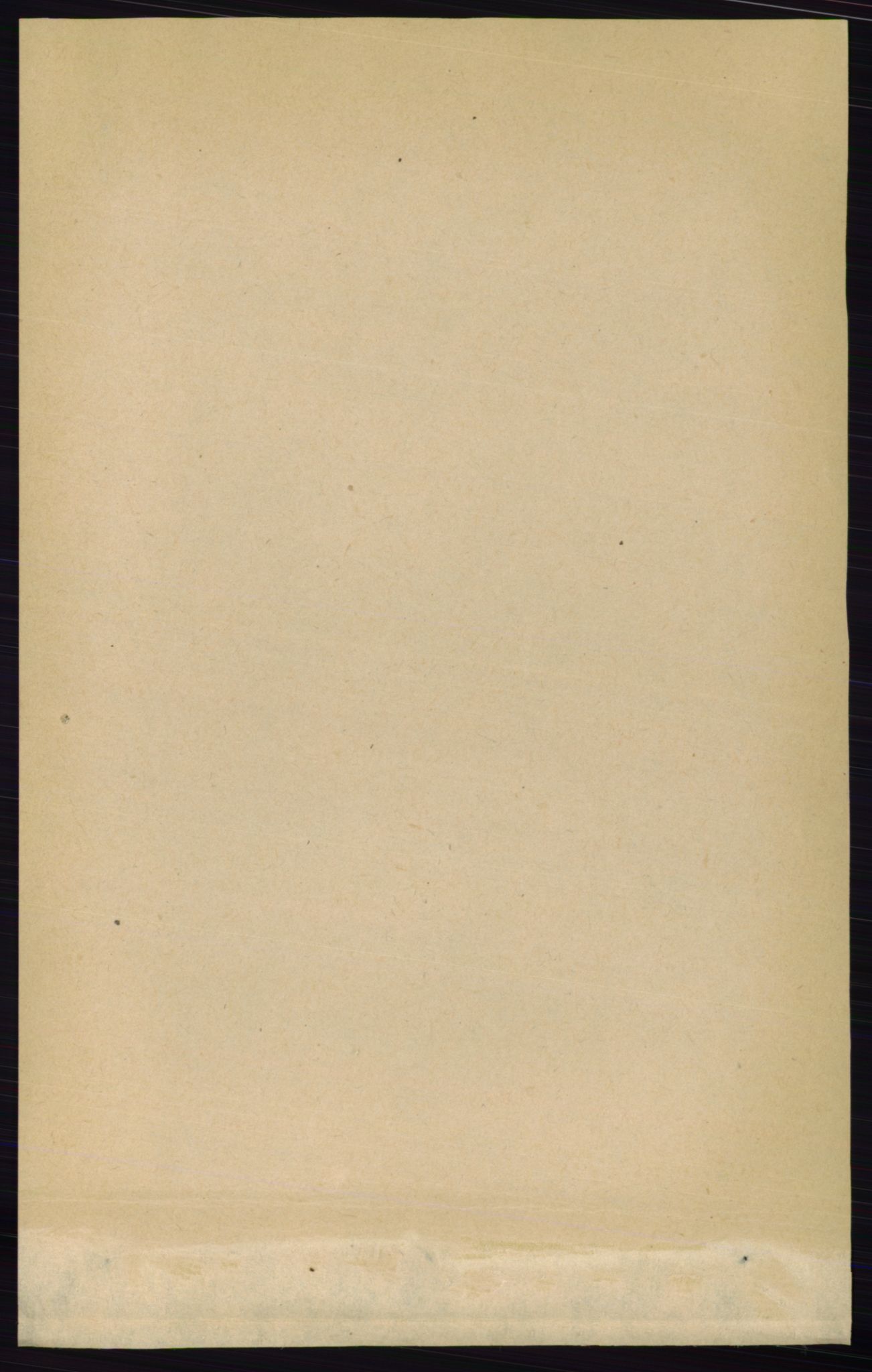RA, 1891 census for 0115 Skjeberg, 1891, p. 1867