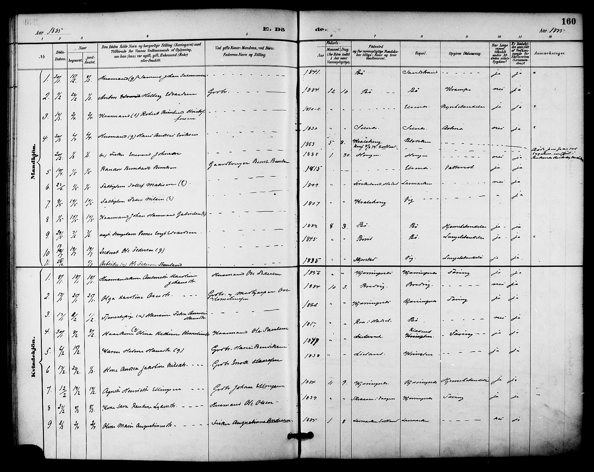 Ministerialprotokoller, klokkerbøker og fødselsregistre - Nordland, AV/SAT-A-1459/895/L1371: Parish register (official) no. 895A06, 1885-1894, p. 160