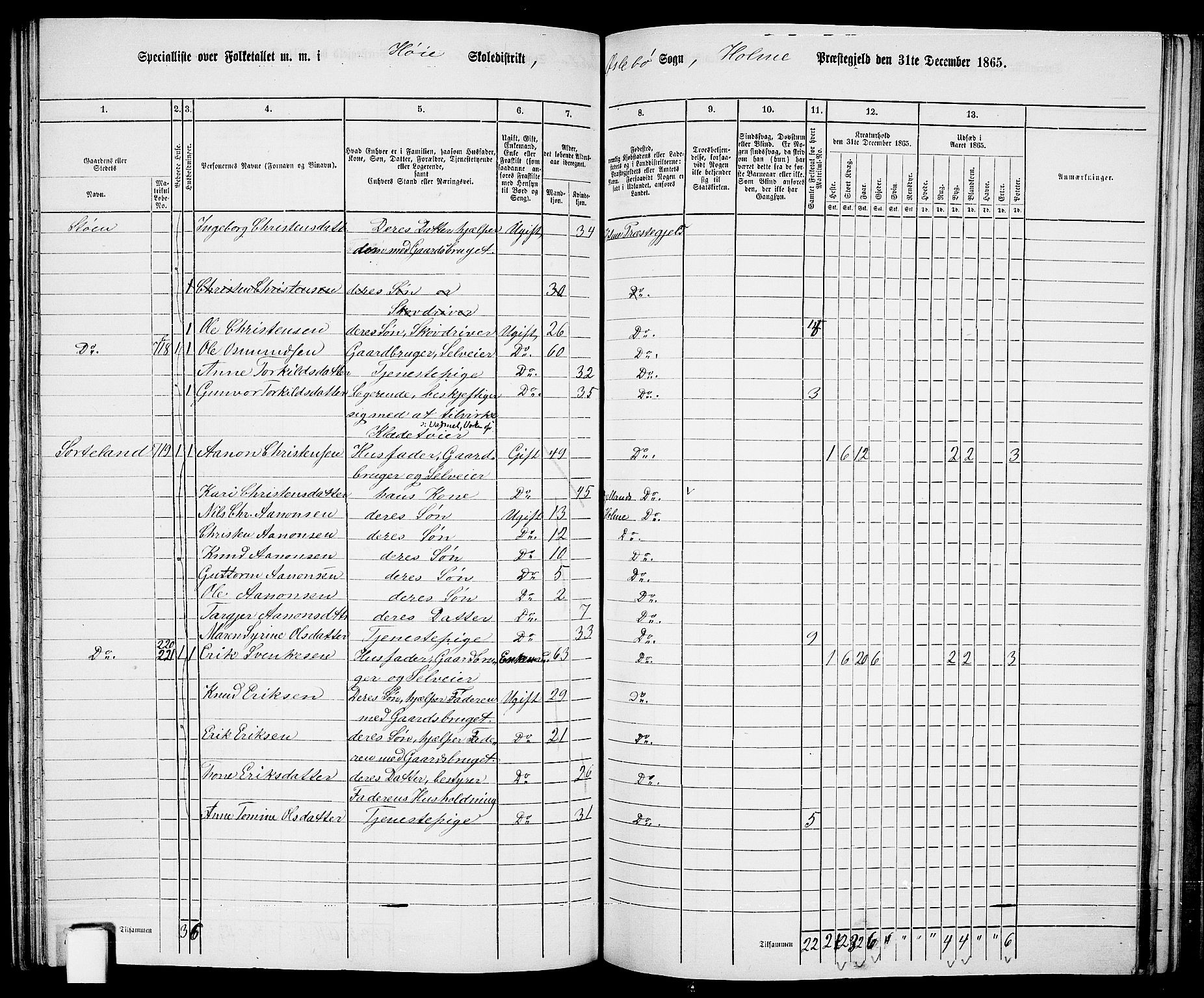 RA, 1865 census for Holum, 1865, p. 134
