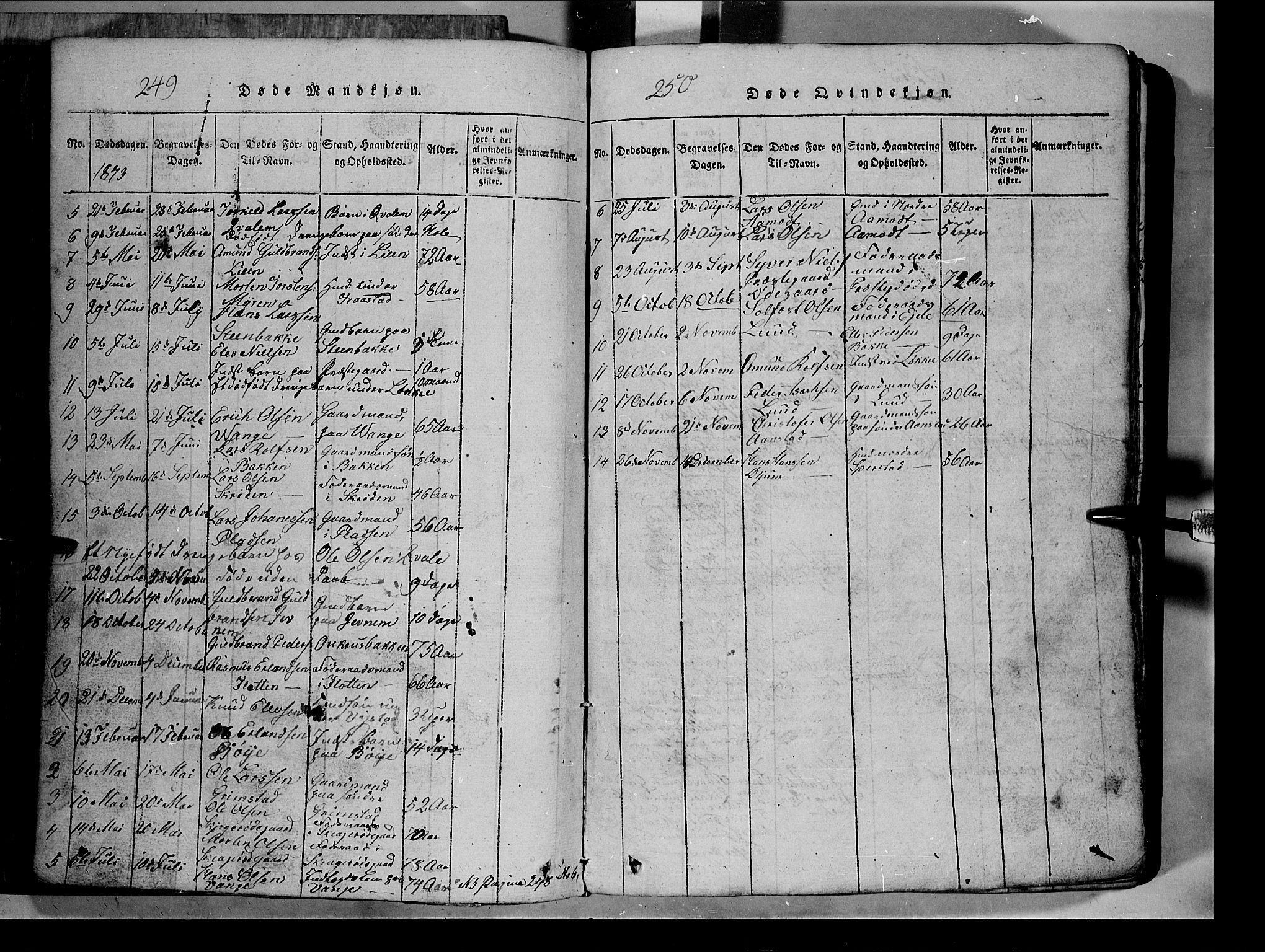 Lom prestekontor, SAH/PREST-070/L/L0003: Parish register (copy) no. 3, 1815-1844, p. 249-250