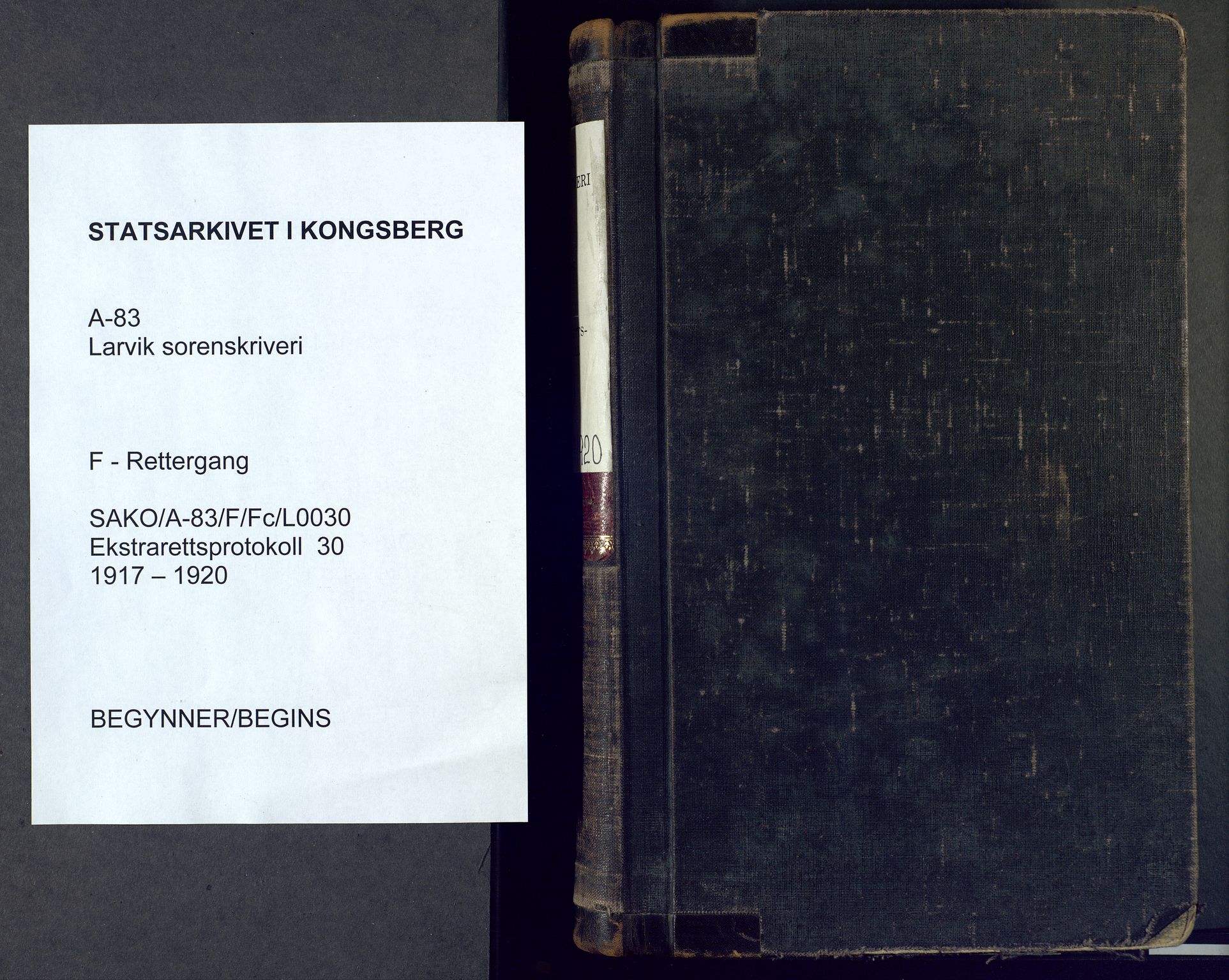 Larvik sorenskriveri, SAKO/A-83/F/Fc/L0030: Ekstrarettsprotokoll, 1917-1920