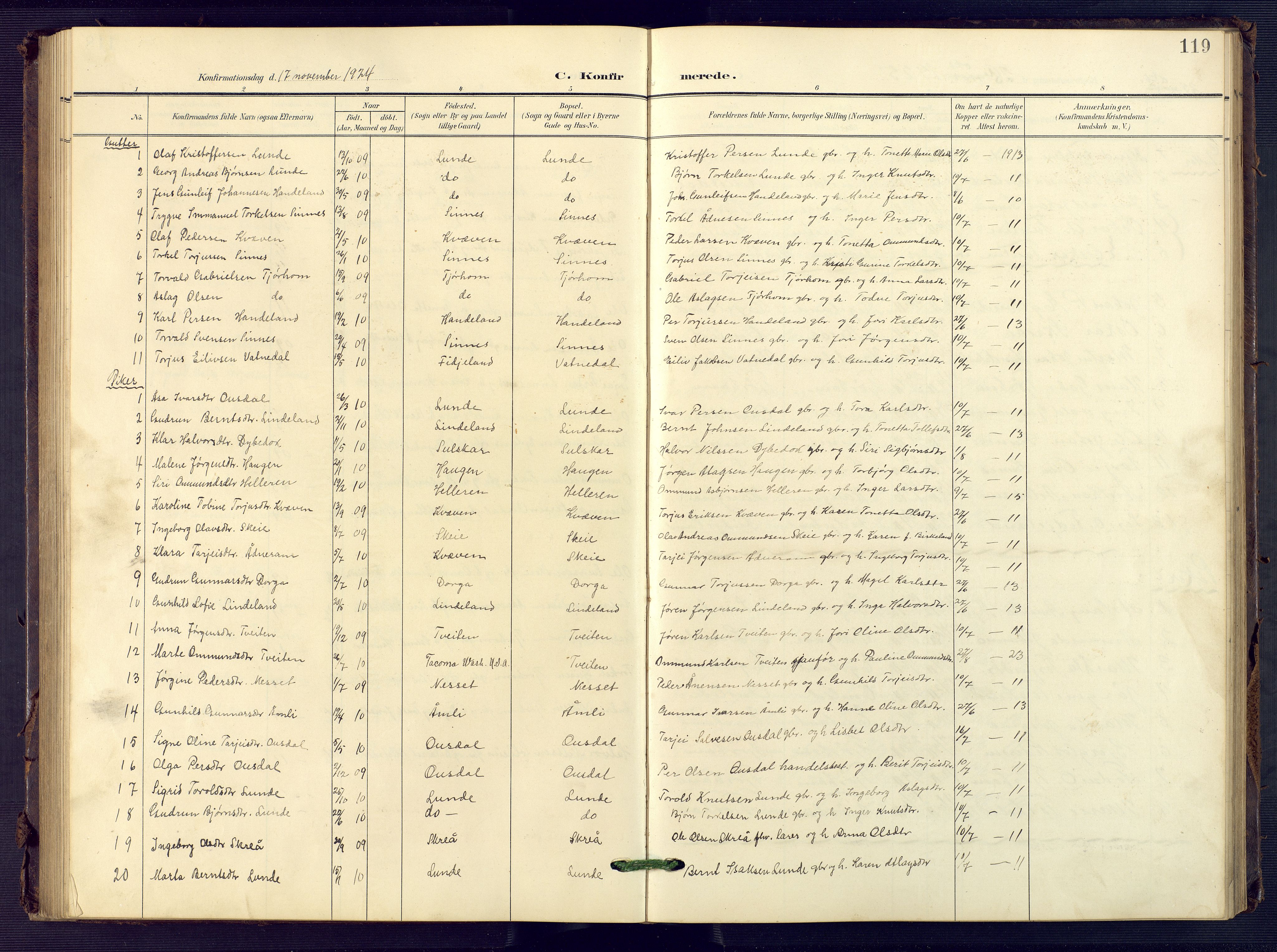 Sirdal sokneprestkontor, SAK/1111-0036/F/Fb/Fba/L0002: Parish register (copy) no. B 2, 1905-1958, p. 119
