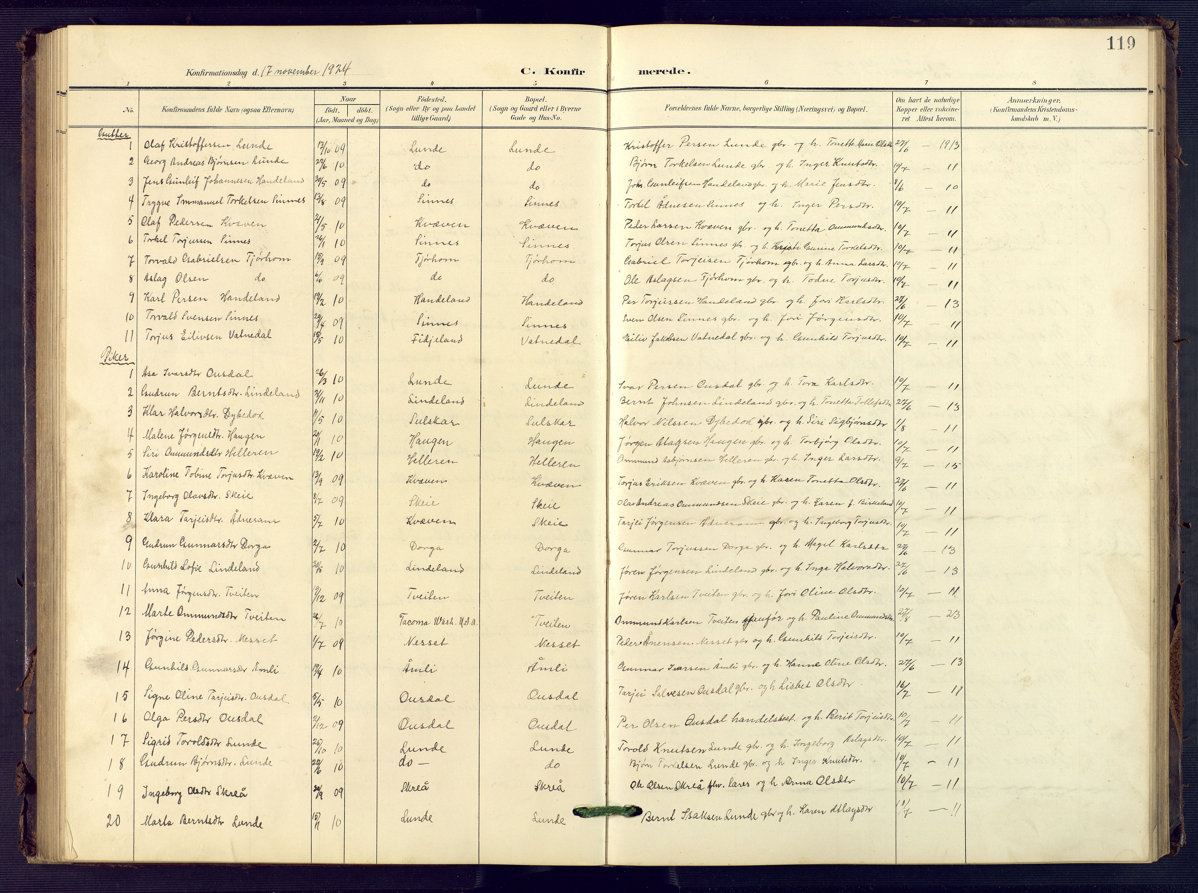 Sirdal sokneprestkontor, AV/SAK-1111-0036/F/Fb/Fba/L0002: Parish register (copy) no. B 2, 1905-1958, p. 119