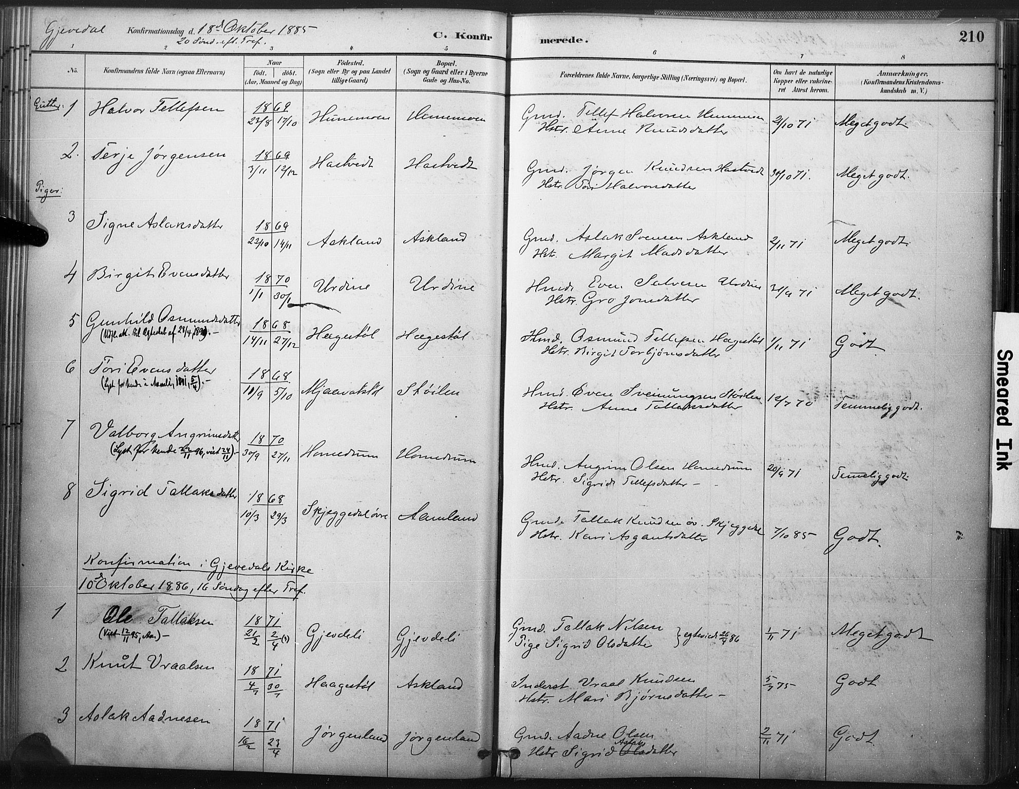 Åmli sokneprestkontor, AV/SAK-1111-0050/F/Fa/Fac/L0010: Parish register (official) no. A 10 /2, 1885-1899, p. 210