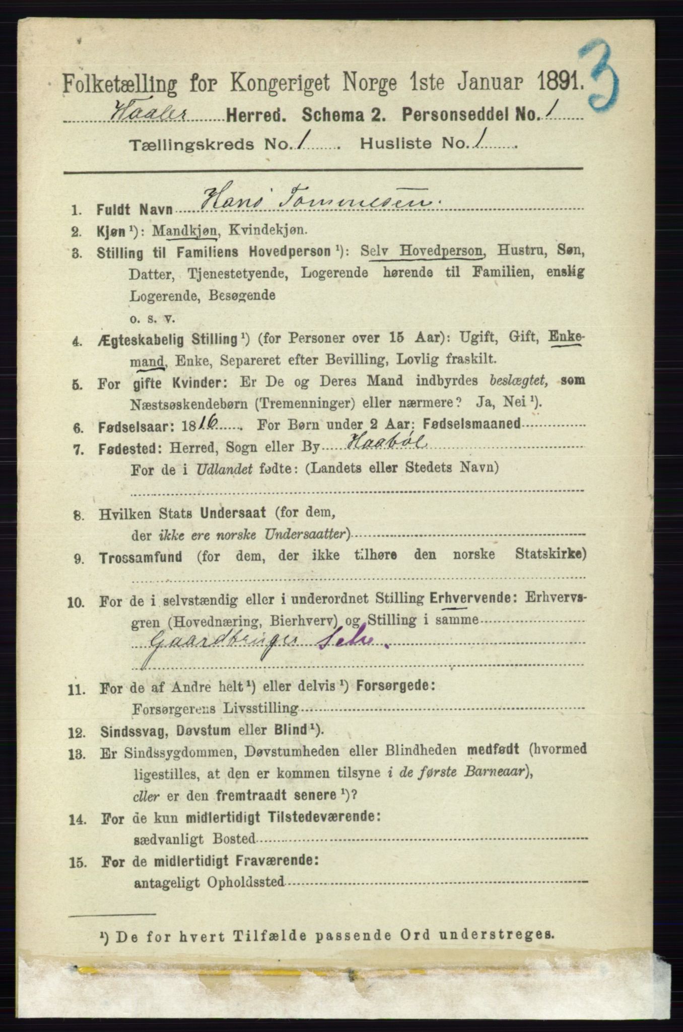 RA, 1891 census for 0137 Våler, 1891, p. 105