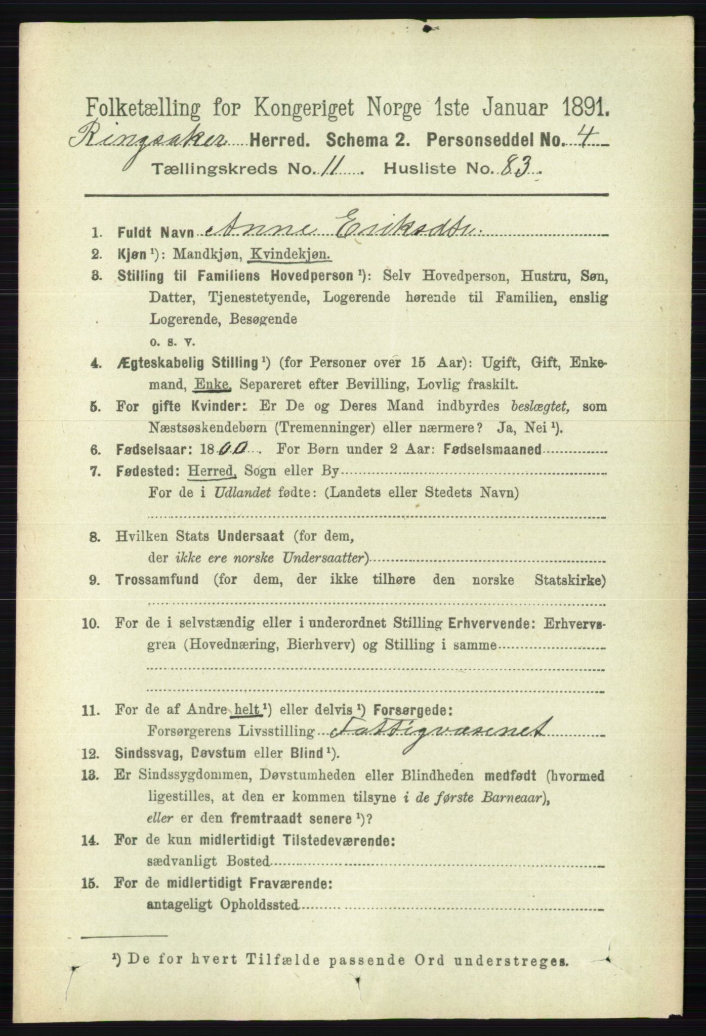 RA, 1891 census for 0412 Ringsaker, 1891, p. 6677