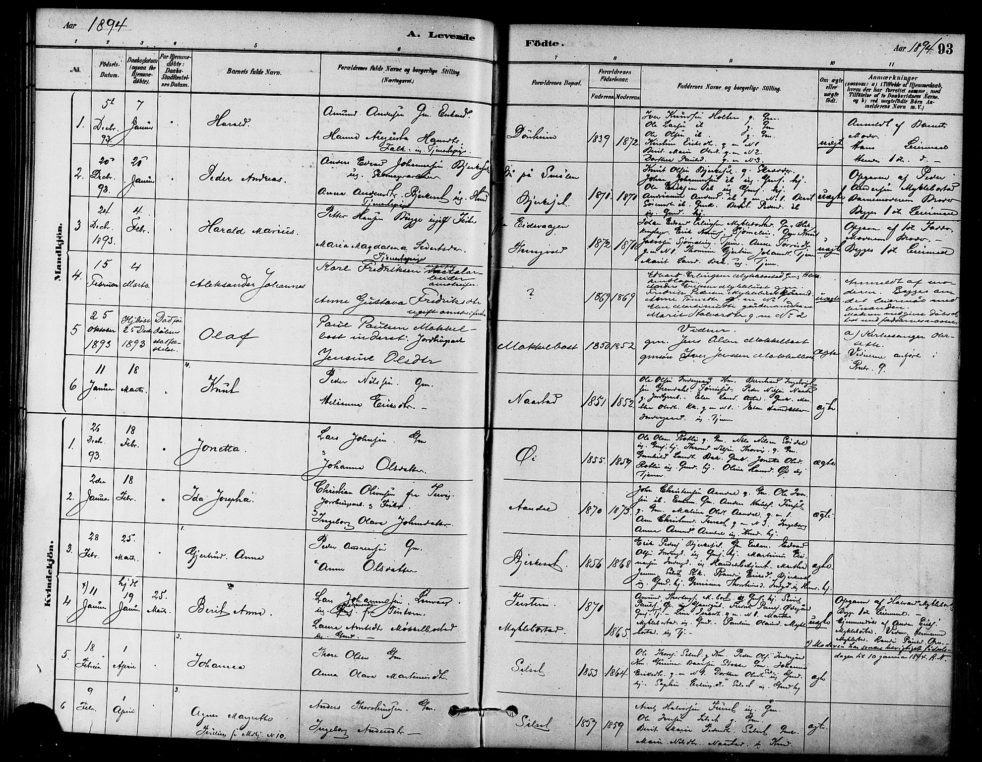 Ministerialprotokoller, klokkerbøker og fødselsregistre - Møre og Romsdal, SAT/A-1454/584/L0967: Parish register (official) no. 584A07, 1879-1894, p. 93