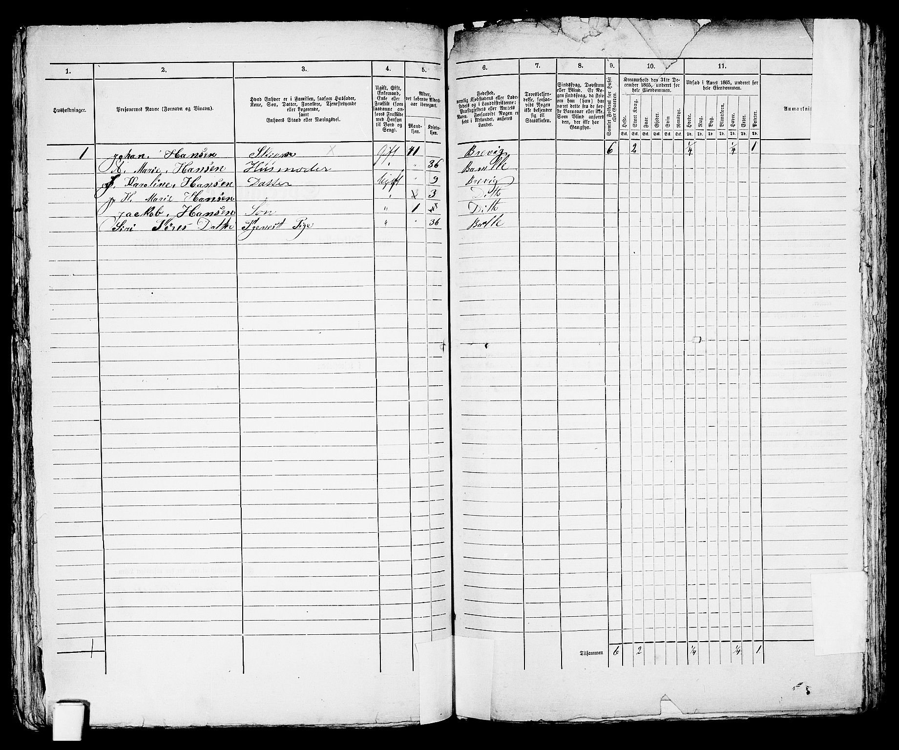 RA, 1865 census for Brevik, 1865, p. 213