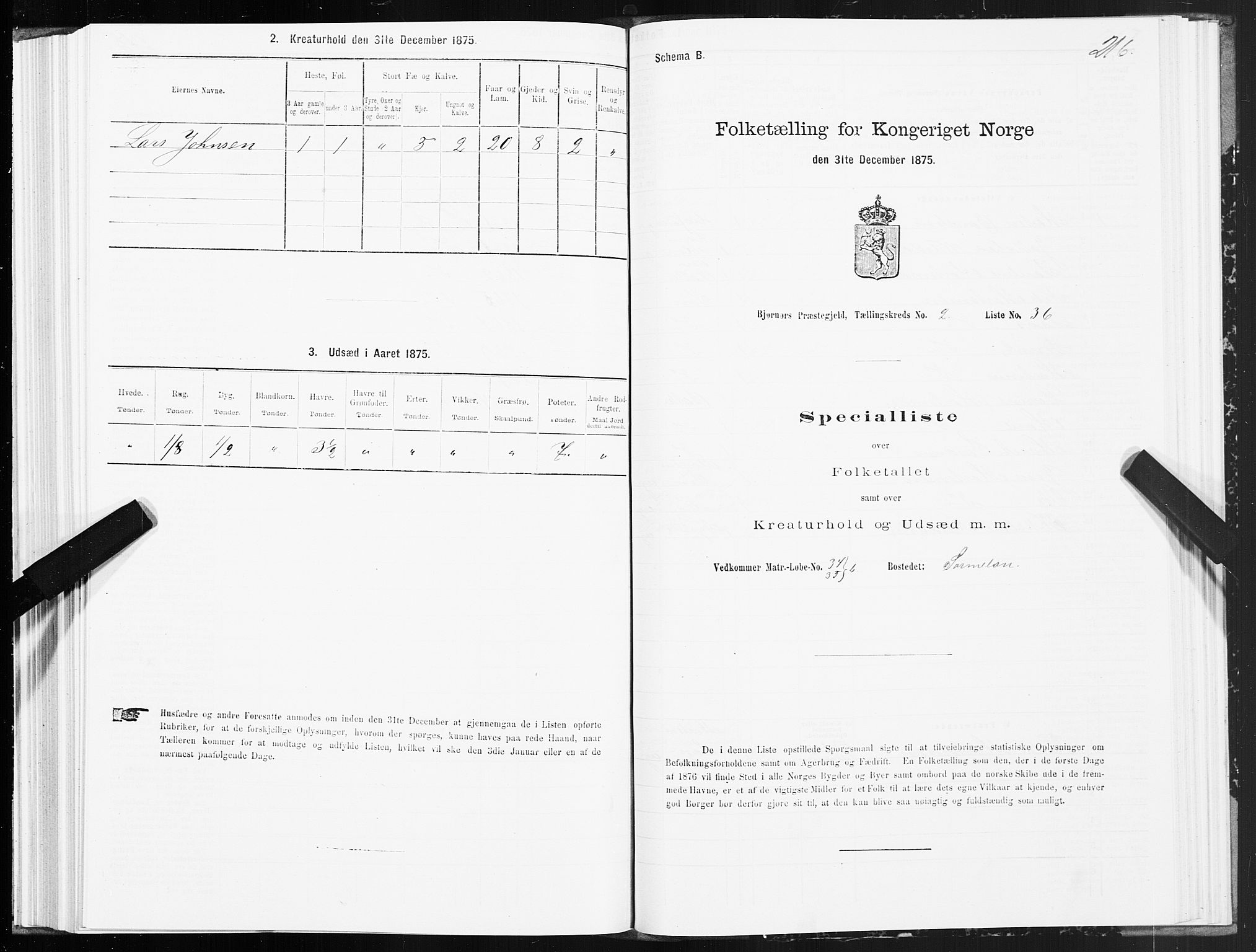 SAT, 1875 census for 1632P Bjørnør, 1875, p. 1216