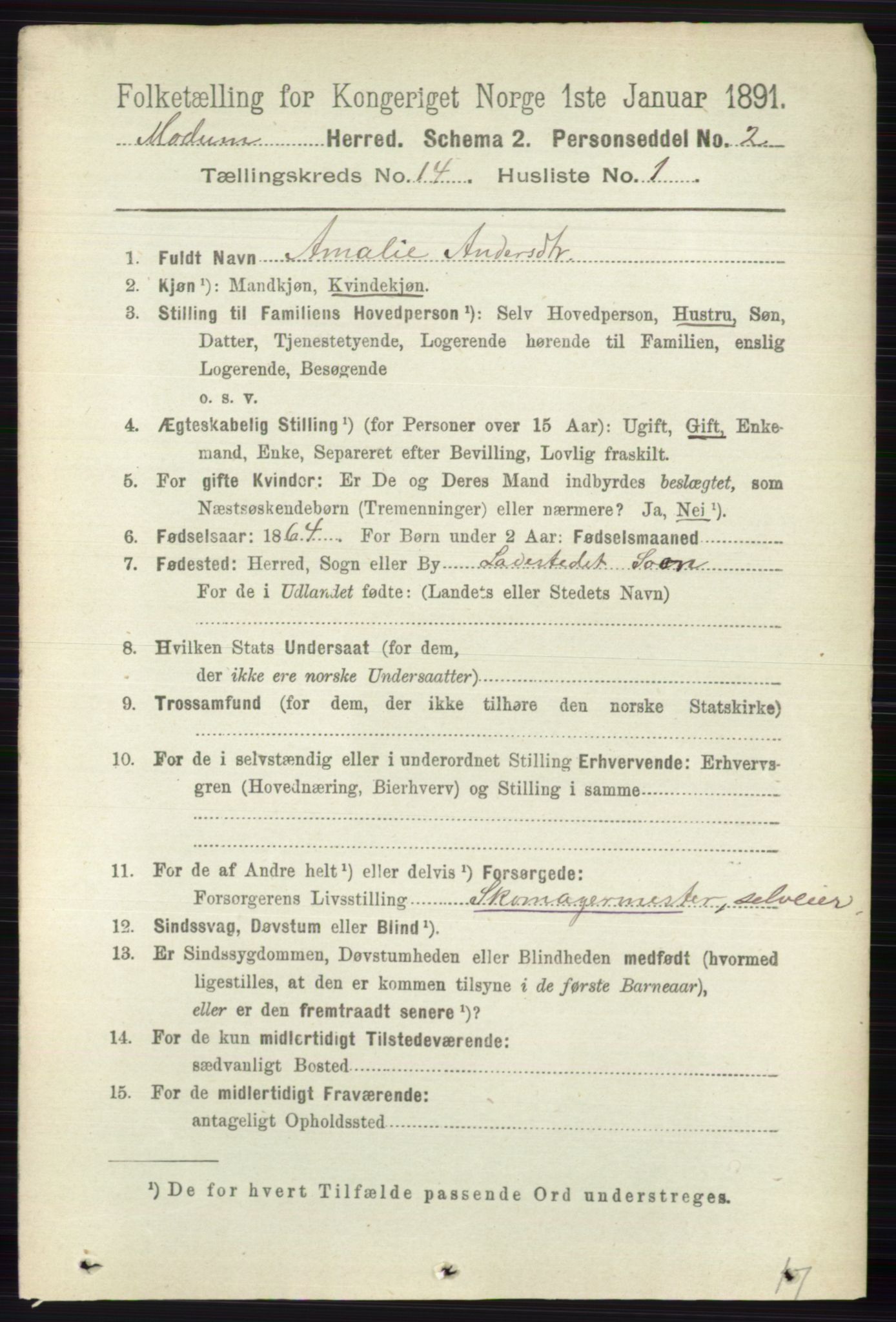 RA, 1891 census for 0623 Modum, 1891, p. 5466