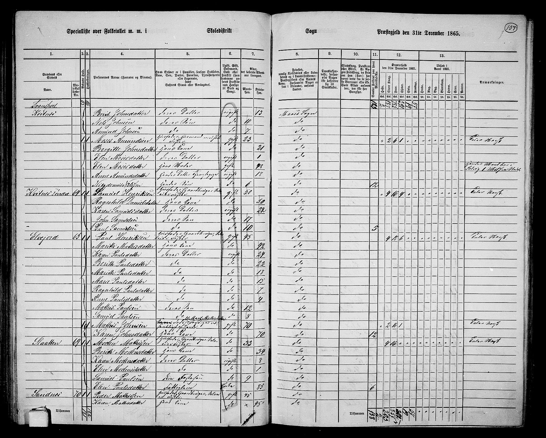 RA, 1865 census for Måsøy, 1865, p. 24