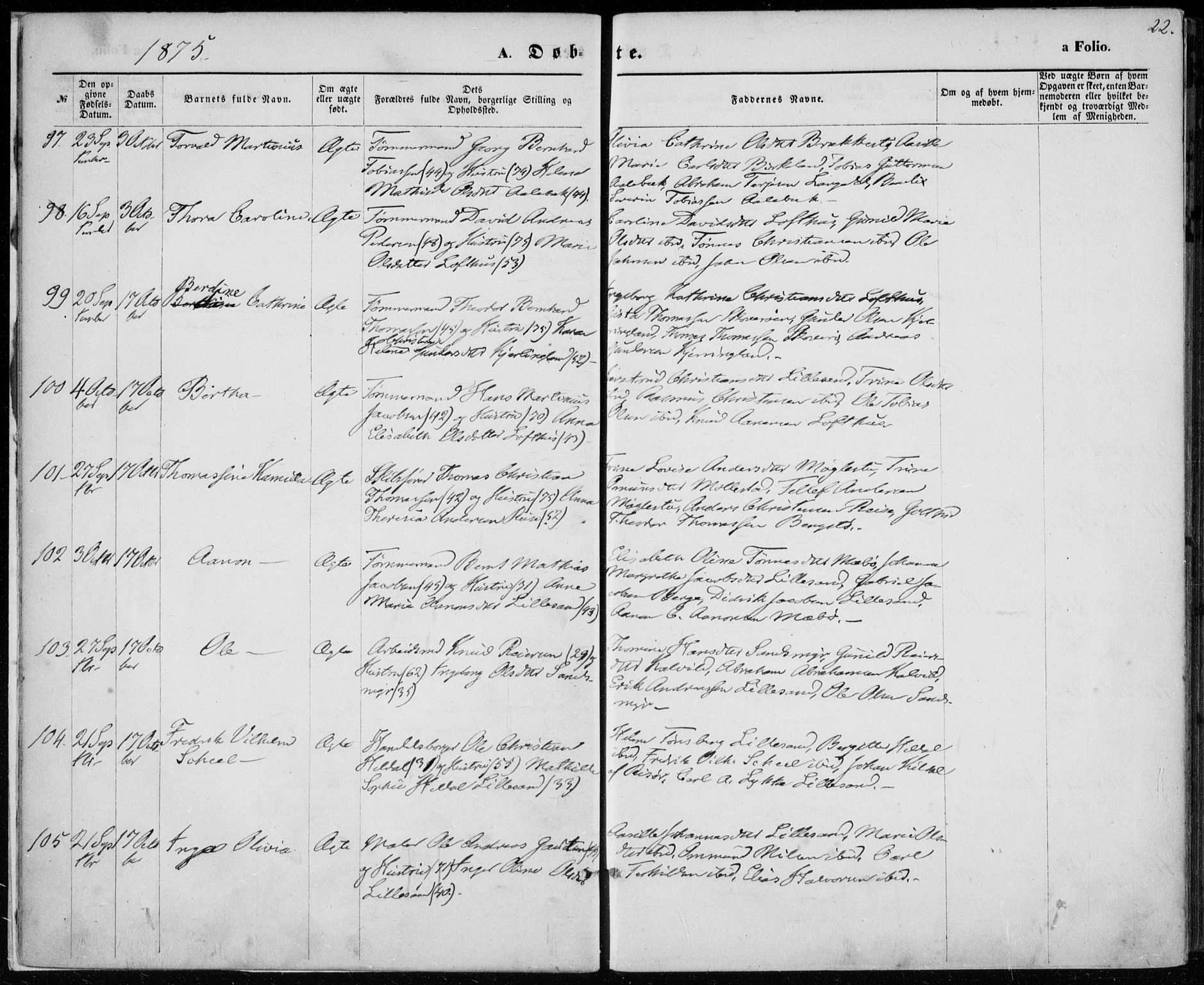 Vestre Moland sokneprestkontor, AV/SAK-1111-0046/F/Fa/Fab/L0008: Parish register (official) no. A 8, 1873-1883, p. 22