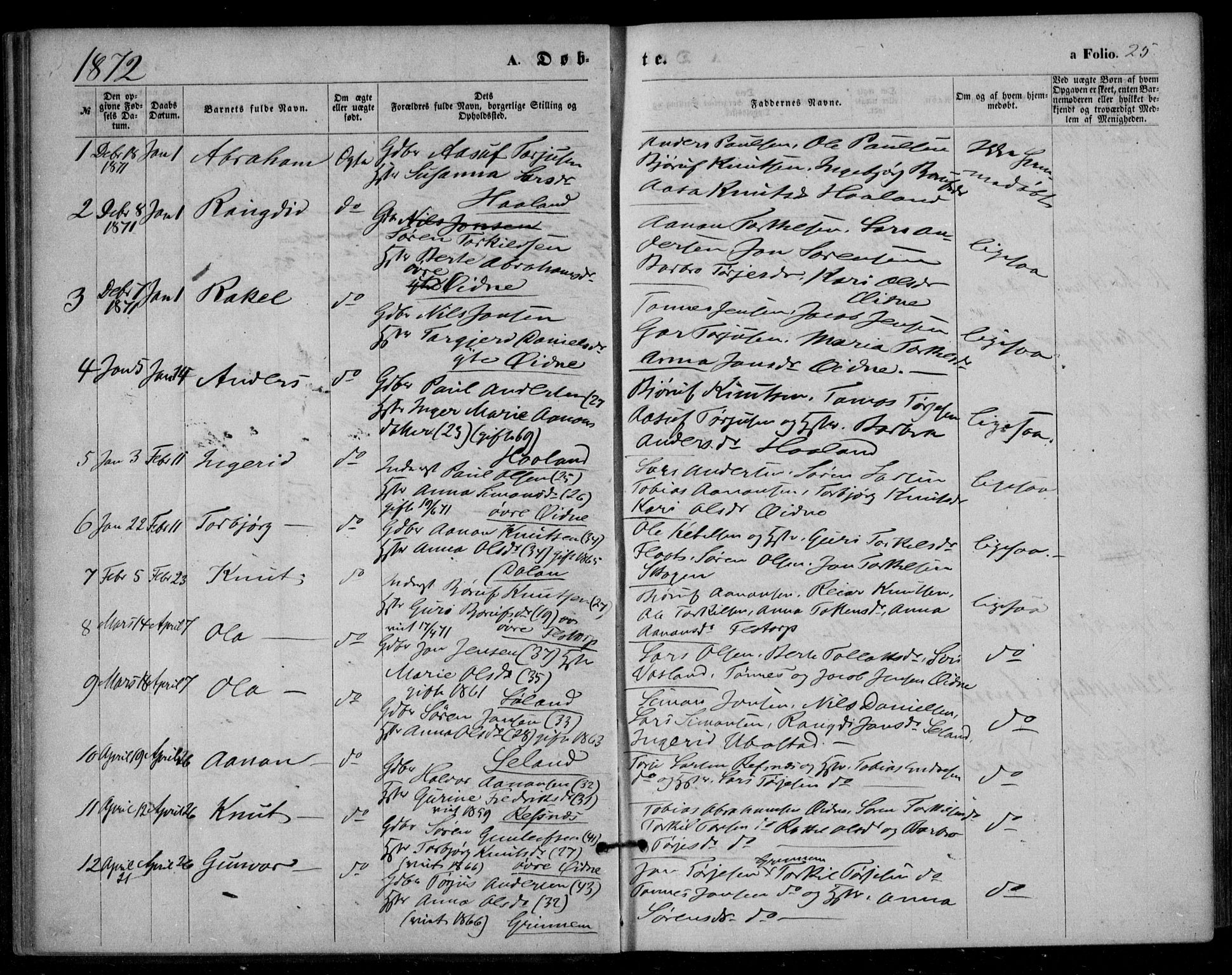 Bjelland sokneprestkontor, SAK/1111-0005/F/Fa/Fac/L0002: Parish register (official) no. A 2, 1866-1887, p. 25
