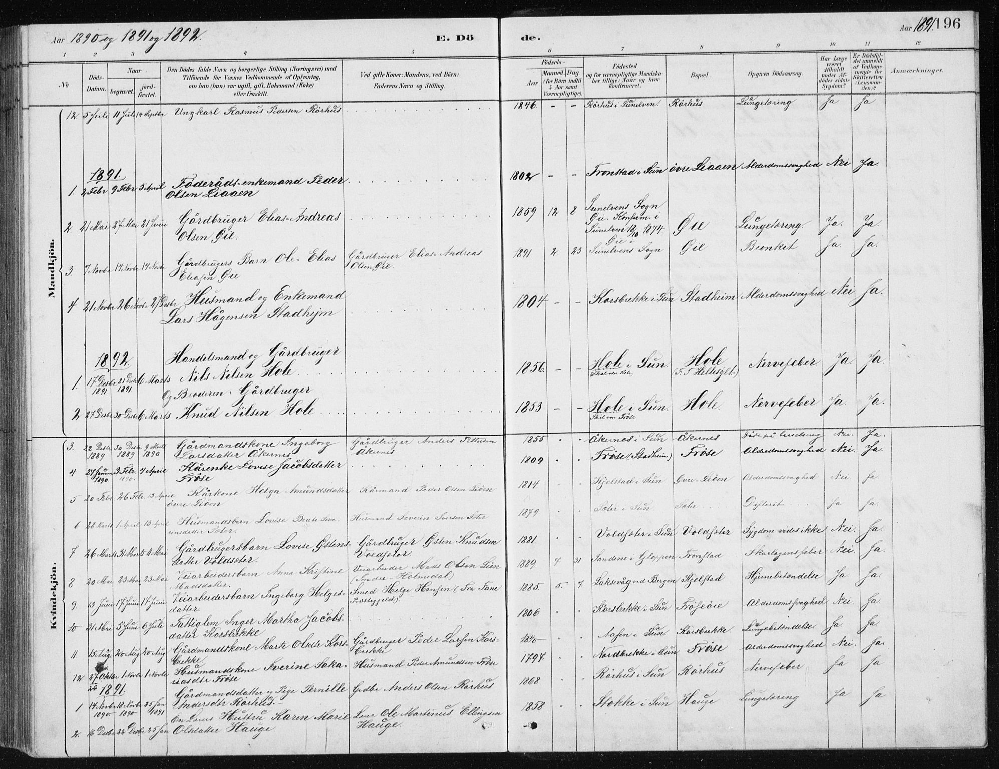 Ministerialprotokoller, klokkerbøker og fødselsregistre - Møre og Romsdal, SAT/A-1454/517/L0230: Parish register (copy) no. 517C03, 1879-1912, p. 196