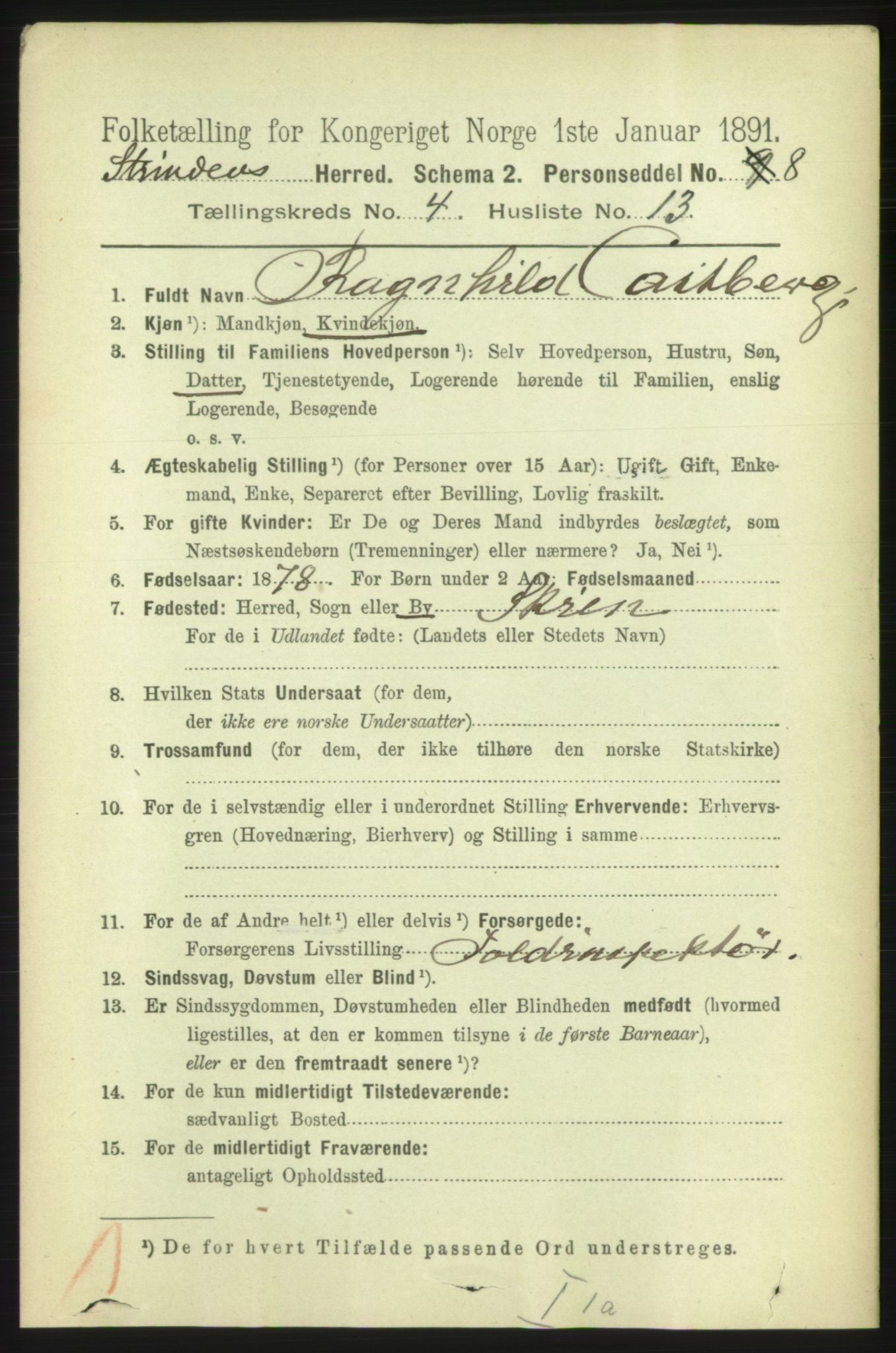 RA, 1891 census for 1660 Strinda, 1891, p. 3974