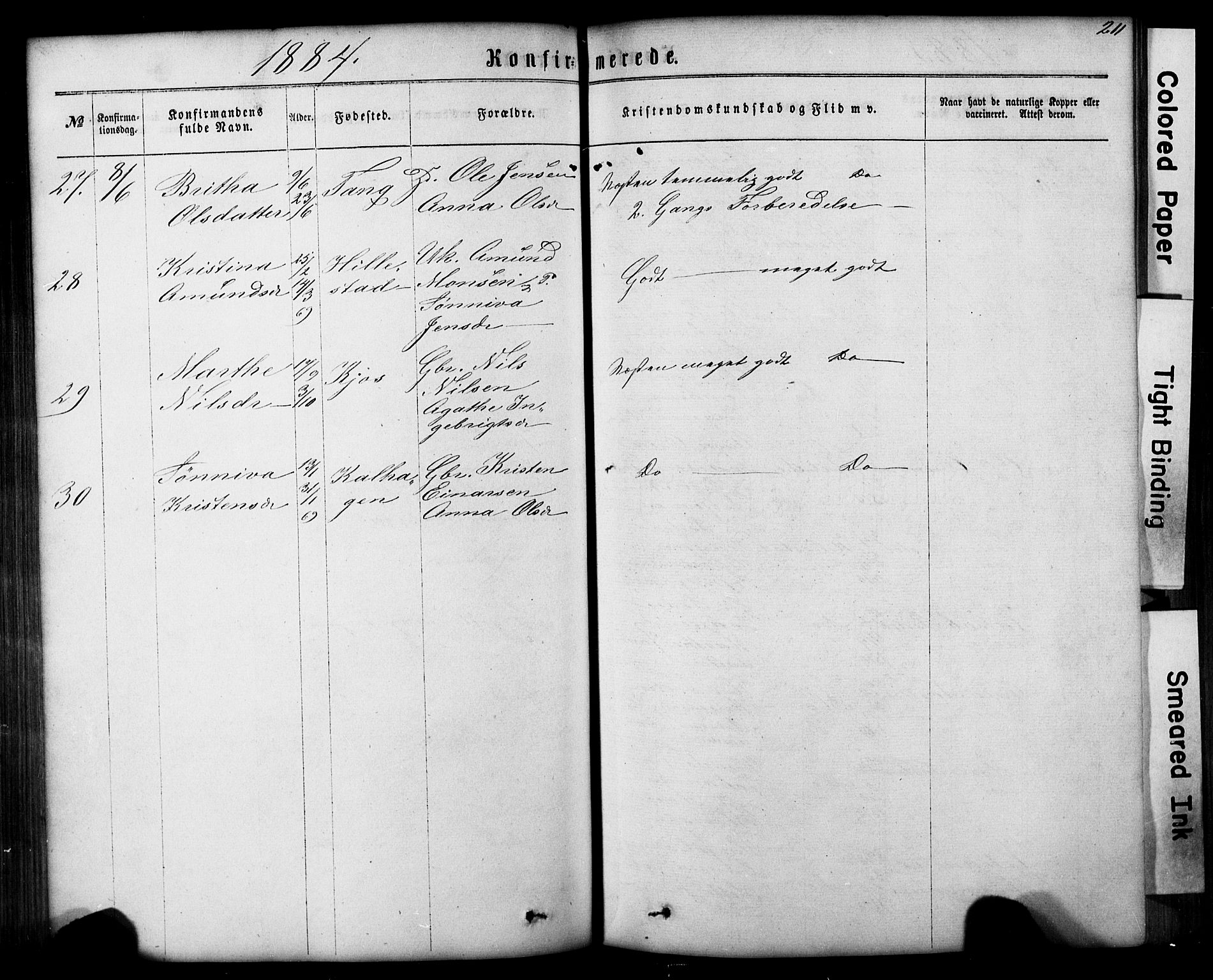 Hafslo sokneprestembete, SAB/A-80301/H/Hab/Haba/L0001: Parish register (copy) no. A 1, 1866-1908, p. 211