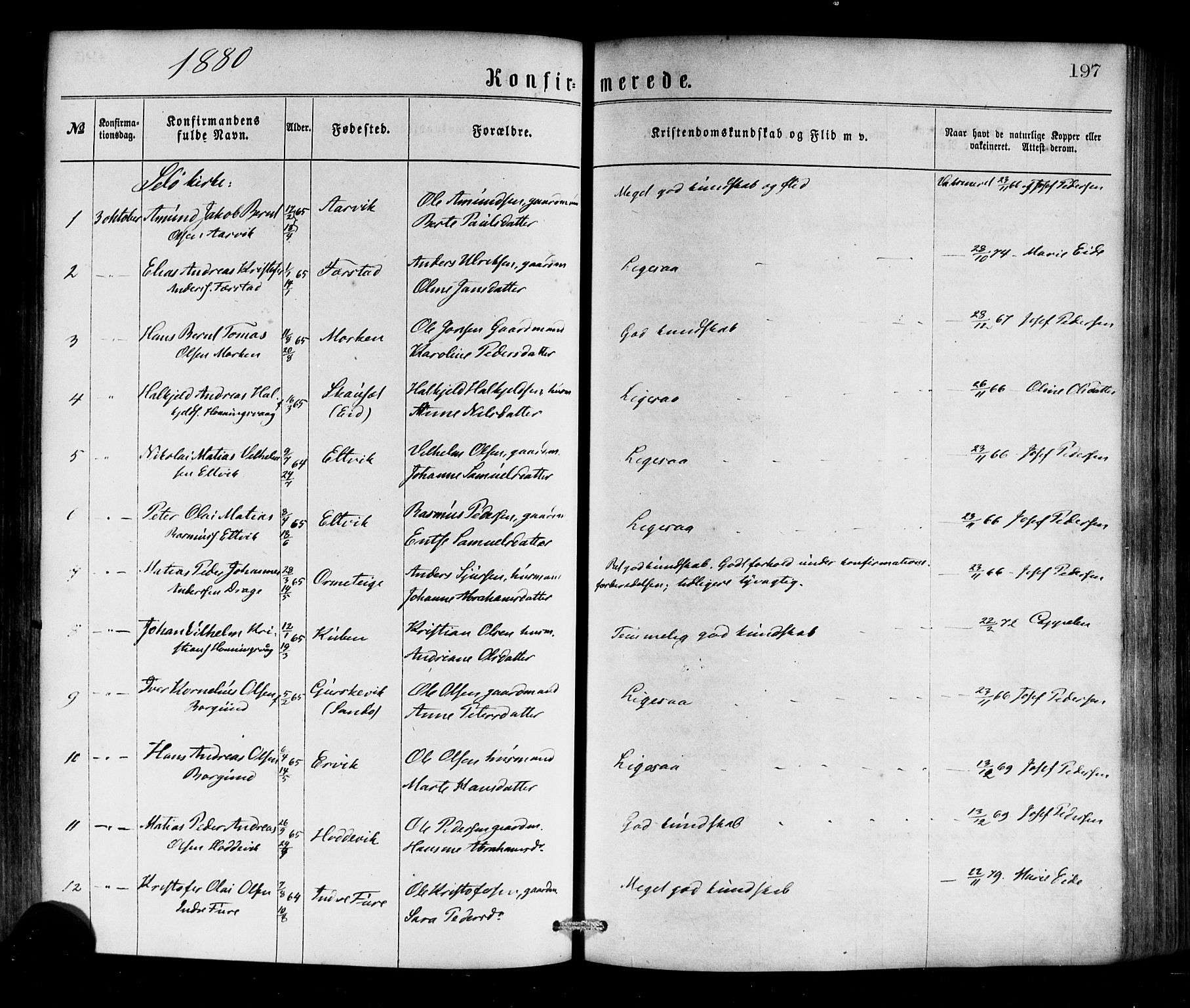 Selje sokneprestembete, SAB/A-99938/H/Ha/Haa/Haaa: Parish register (official) no. A 12, 1870-1880, p. 197