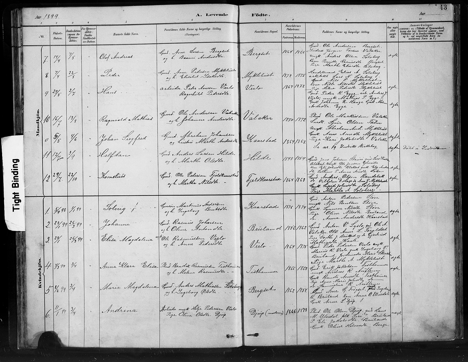 Innvik sokneprestembete, AV/SAB-A-80501: Parish register (copy) no. C 3, 1883-1911, p. 43