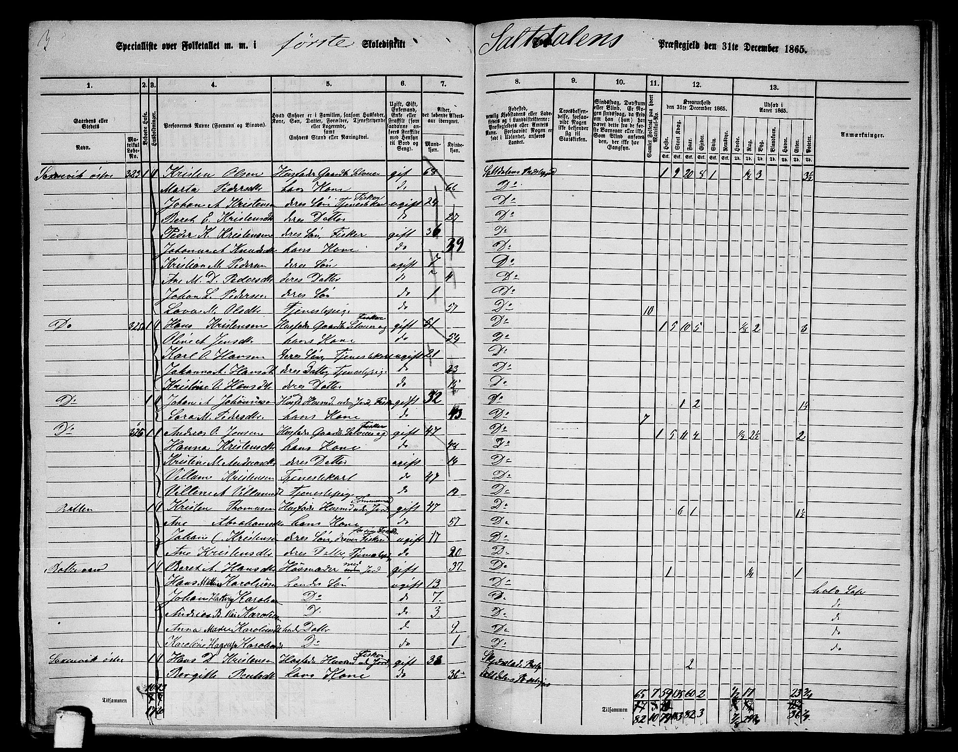 RA, 1865 census for Saltdal, 1865, p. 21