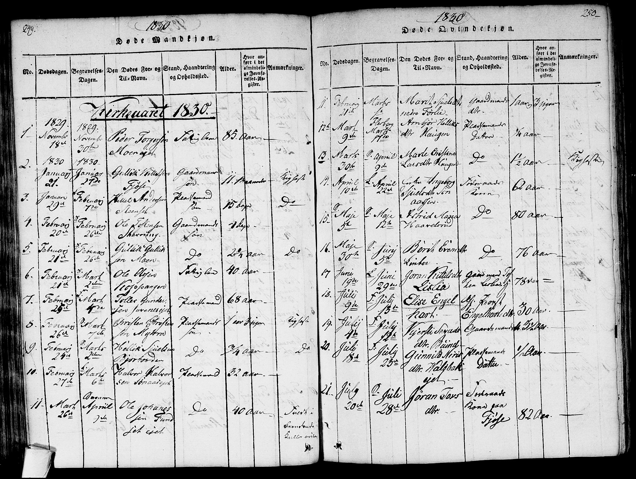 Flesberg kirkebøker, SAKO/A-18/G/Ga/L0001: Parish register (copy) no. I 1, 1816-1834, p. 249-250