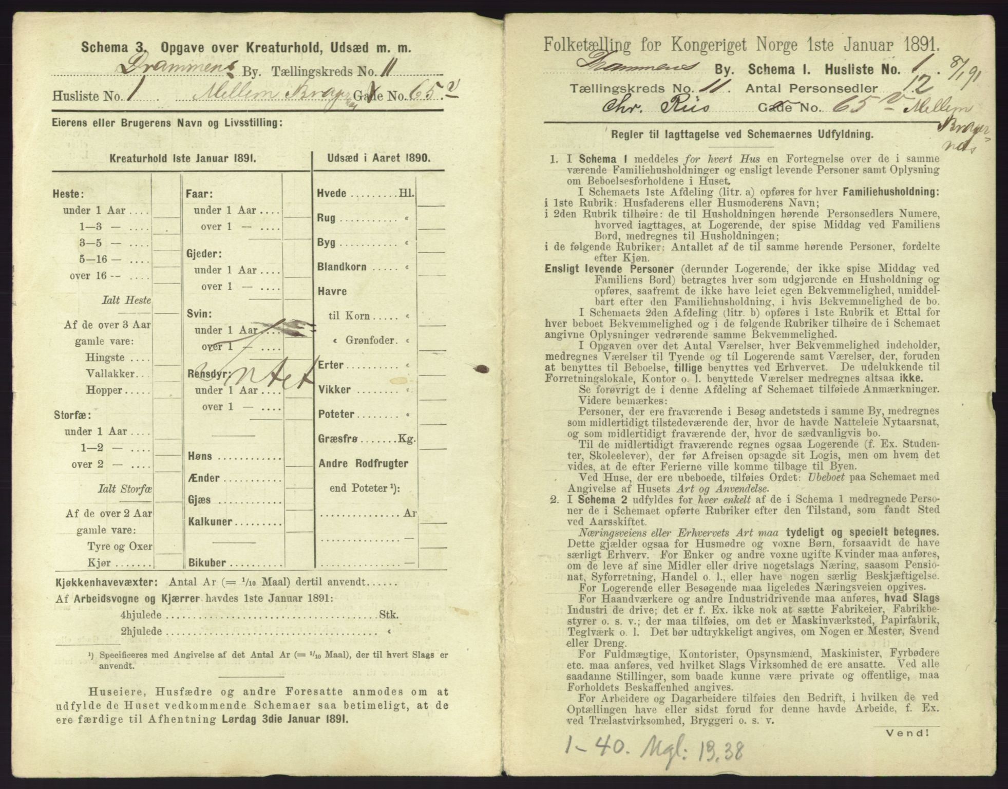 RA, 1891 census for 0602 Drammen, 1891, p. 909