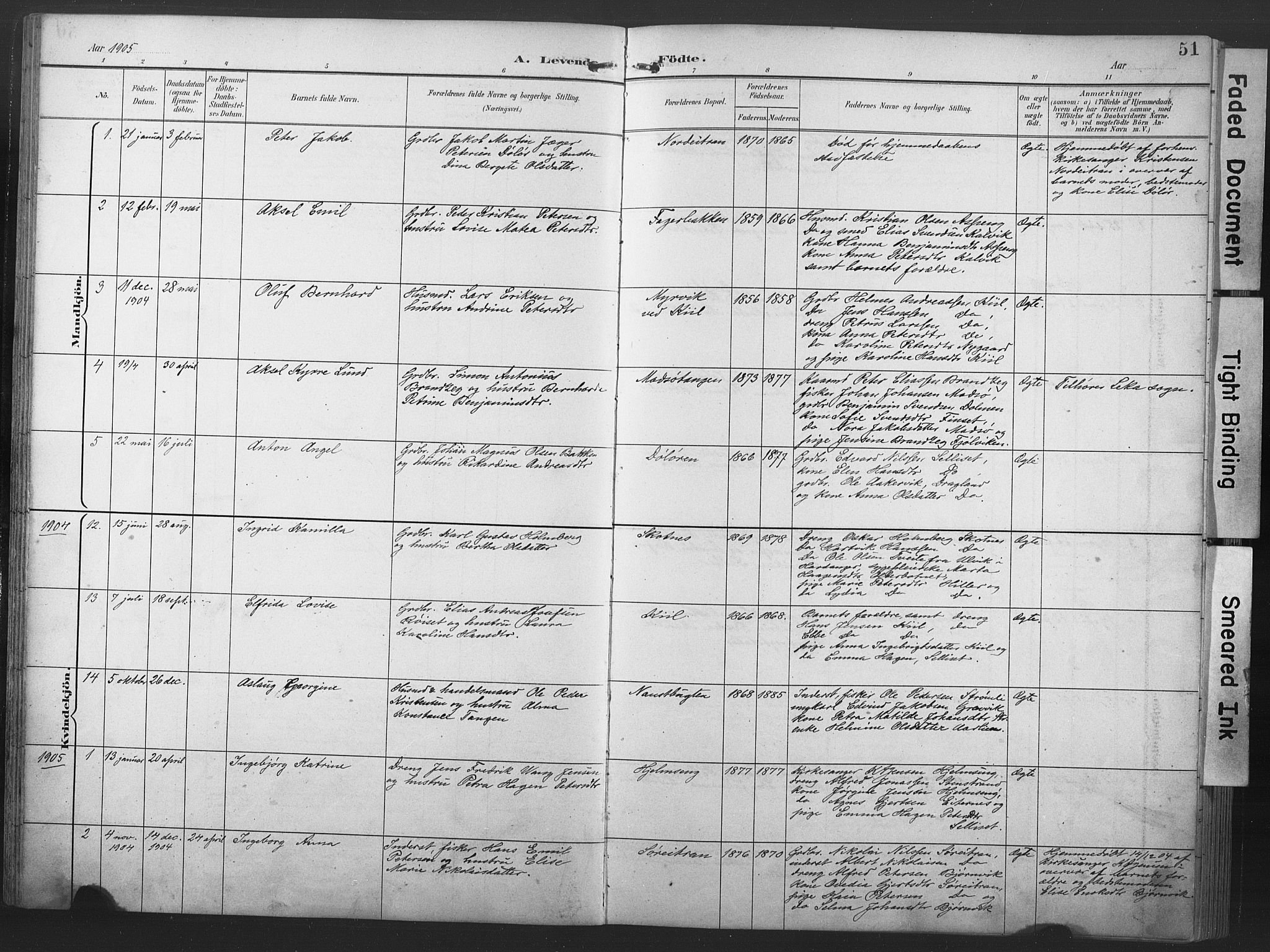 Ministerialprotokoller, klokkerbøker og fødselsregistre - Nord-Trøndelag, SAT/A-1458/789/L0706: Parish register (copy) no. 789C01, 1888-1931, p. 51