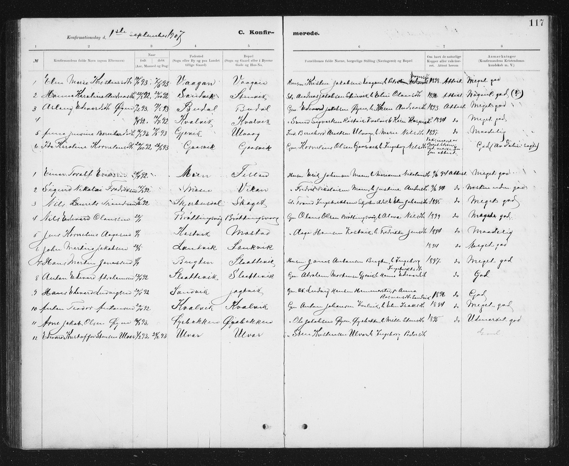 Ministerialprotokoller, klokkerbøker og fødselsregistre - Sør-Trøndelag, SAT/A-1456/637/L0563: Parish register (copy) no. 637C04, 1899-1940, p. 117