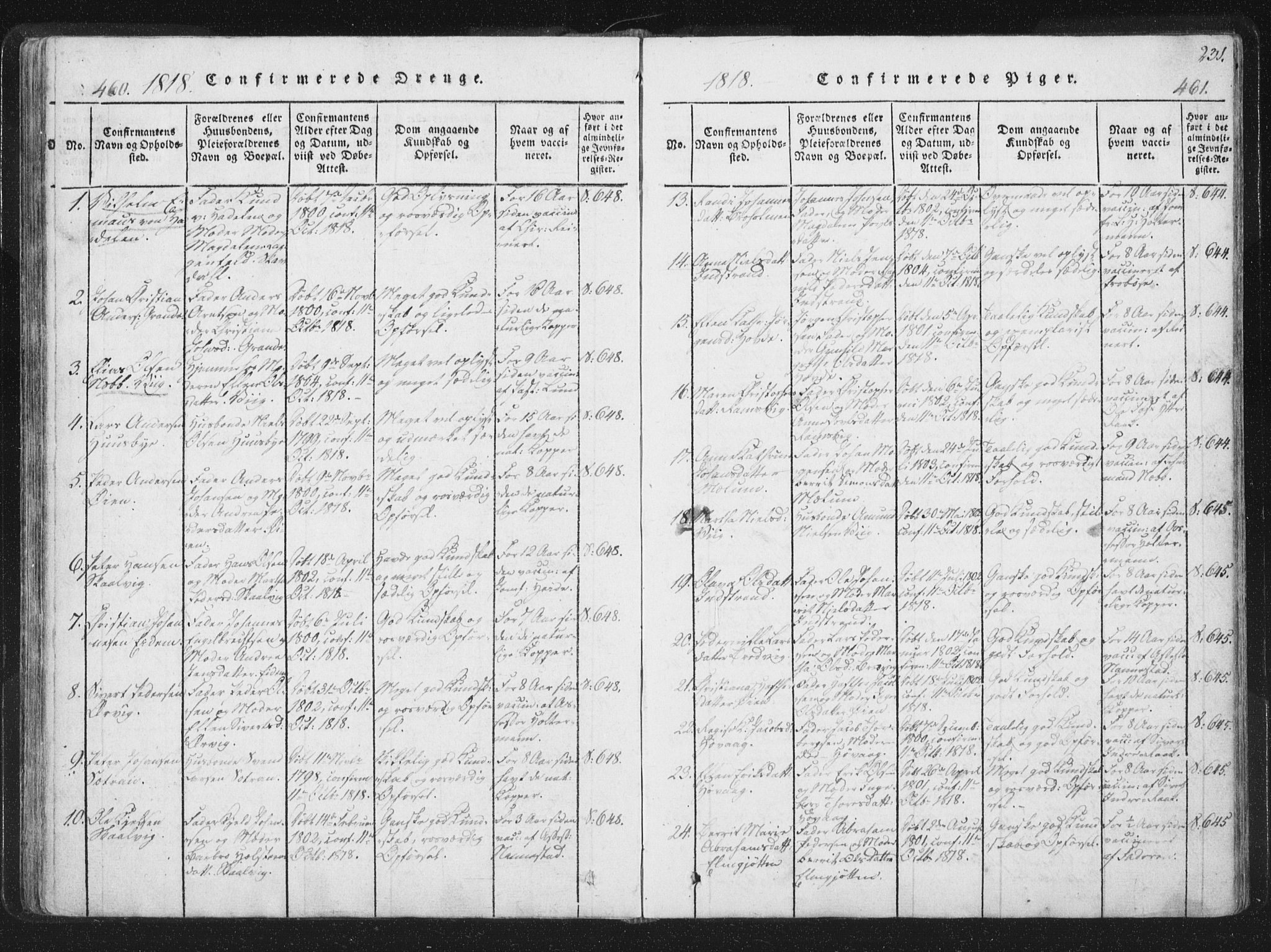 Ministerialprotokoller, klokkerbøker og fødselsregistre - Sør-Trøndelag, SAT/A-1456/659/L0734: Parish register (official) no. 659A04, 1818-1825, p. 460-461