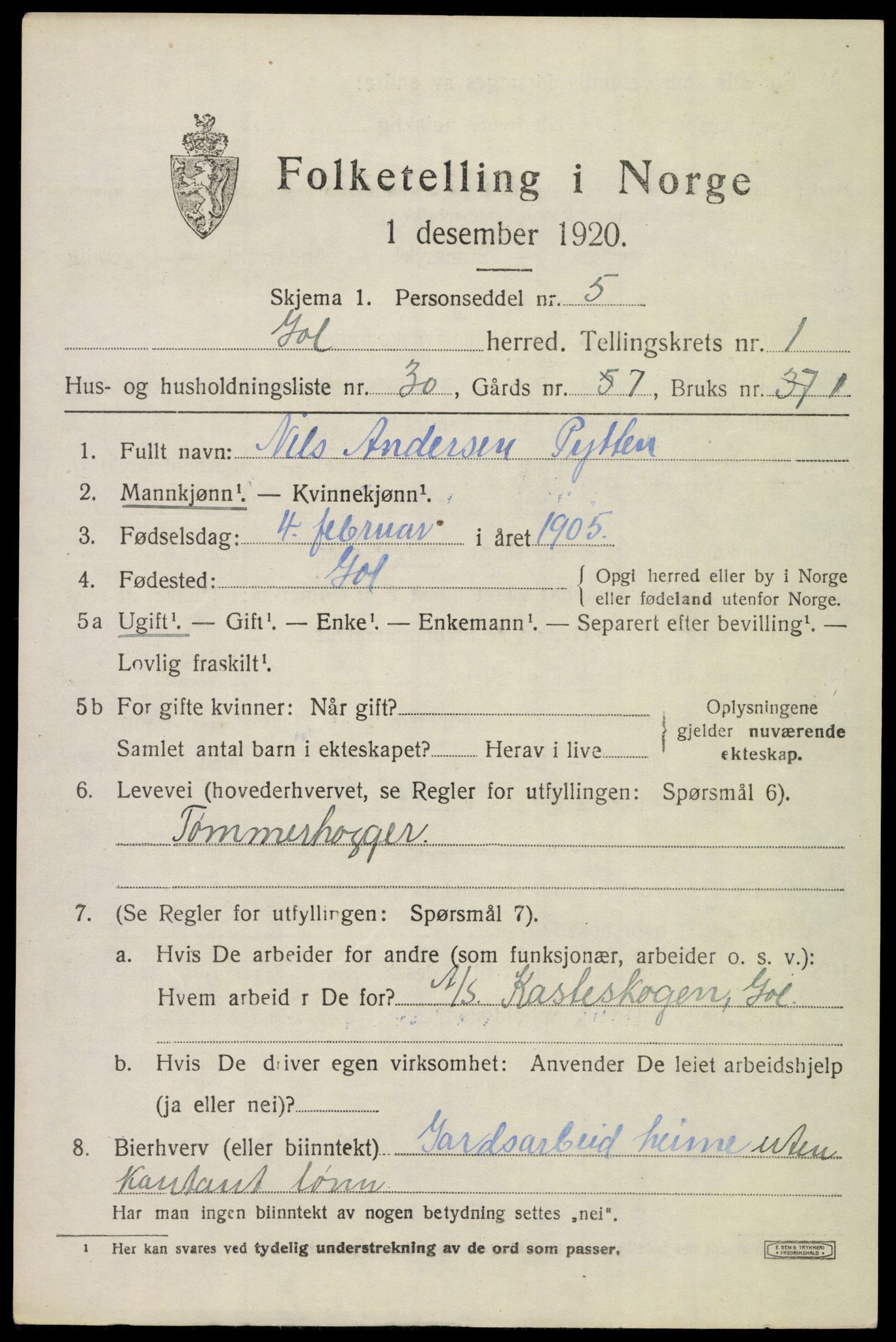 SAKO, 1920 census for Gol, 1920, p. 1214