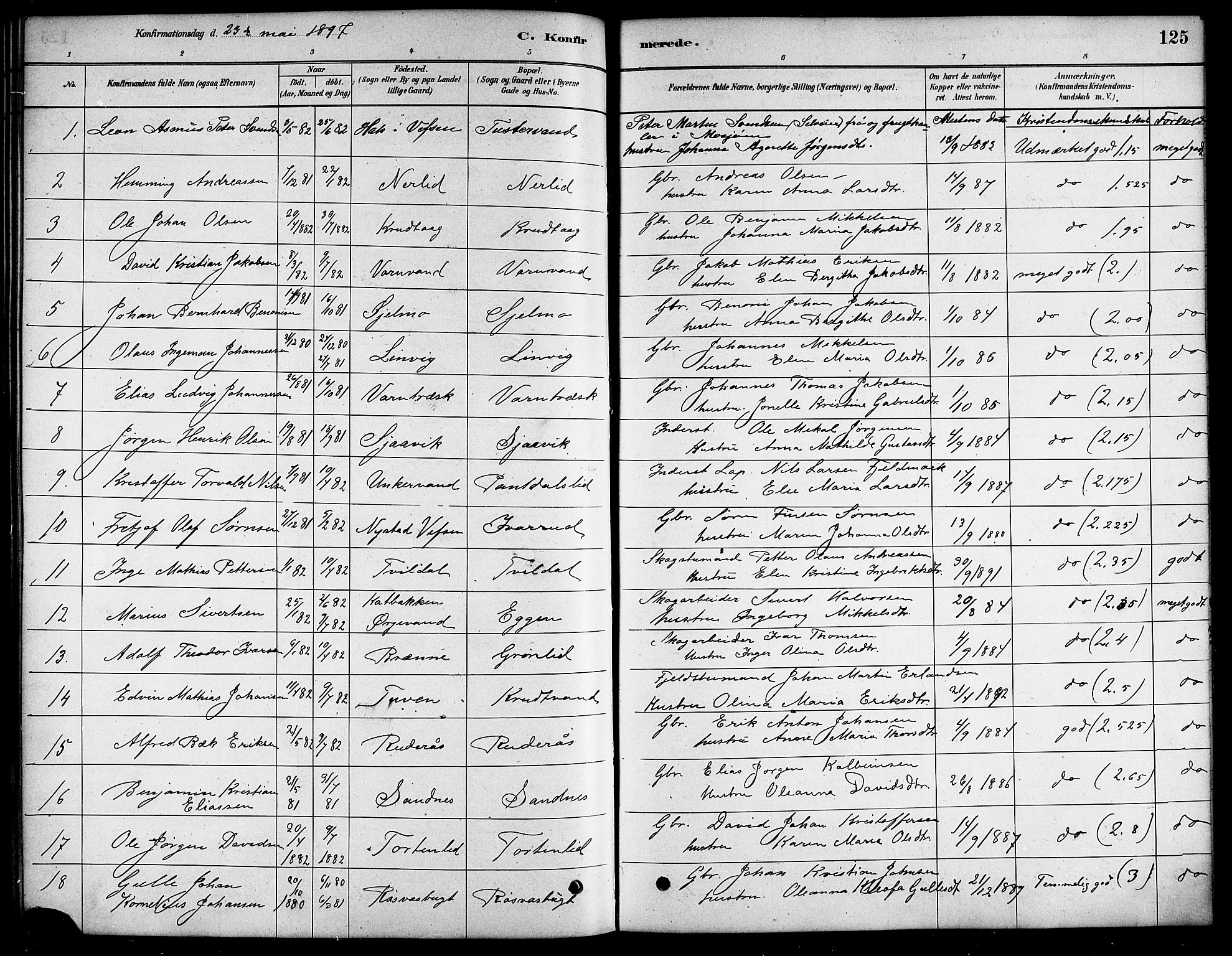 Ministerialprotokoller, klokkerbøker og fødselsregistre - Nordland, SAT/A-1459/823/L0330: Parish register (copy) no. 823C02, 1879-1916, p. 125