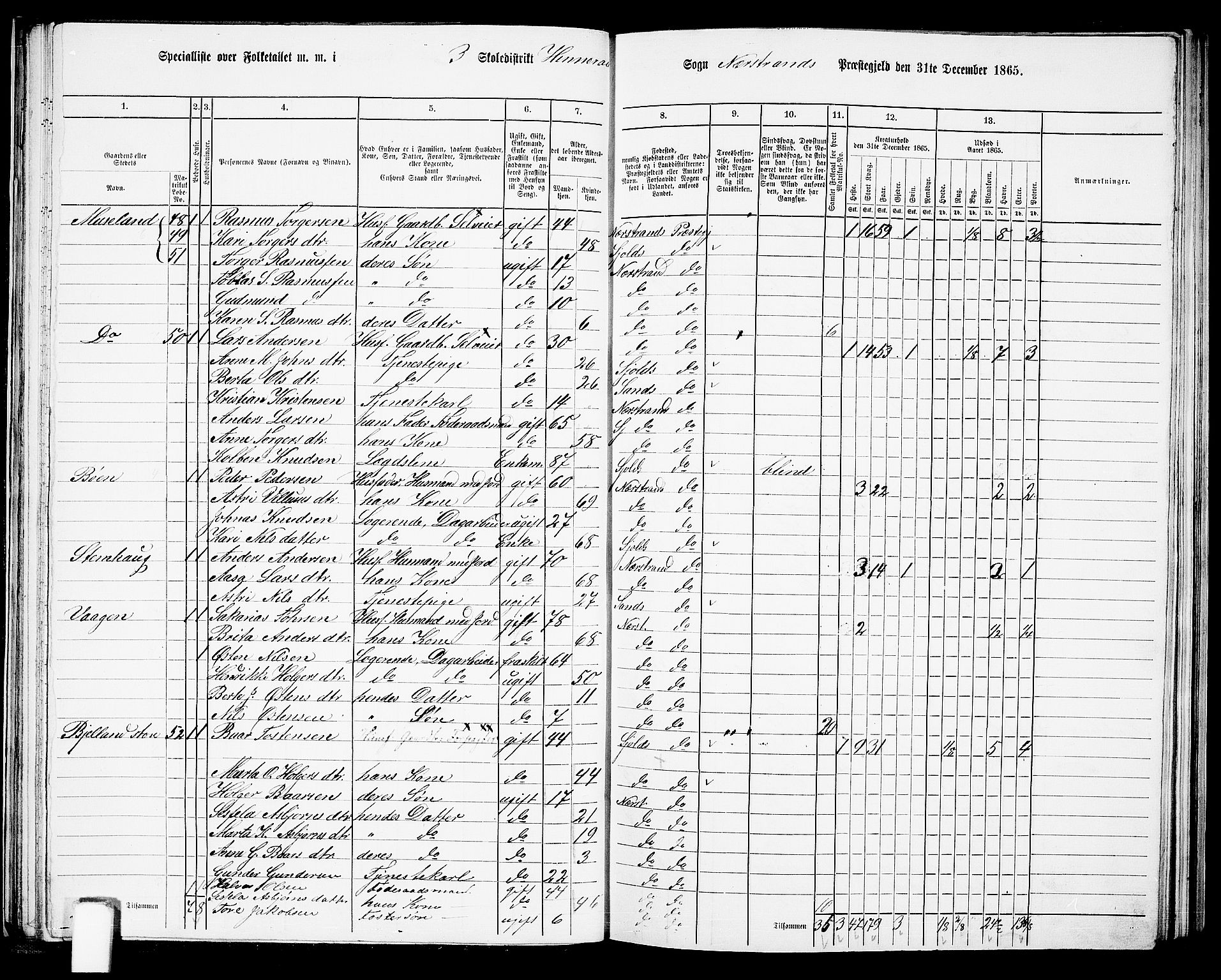 RA, 1865 census for Nedstrand, 1865, p. 46