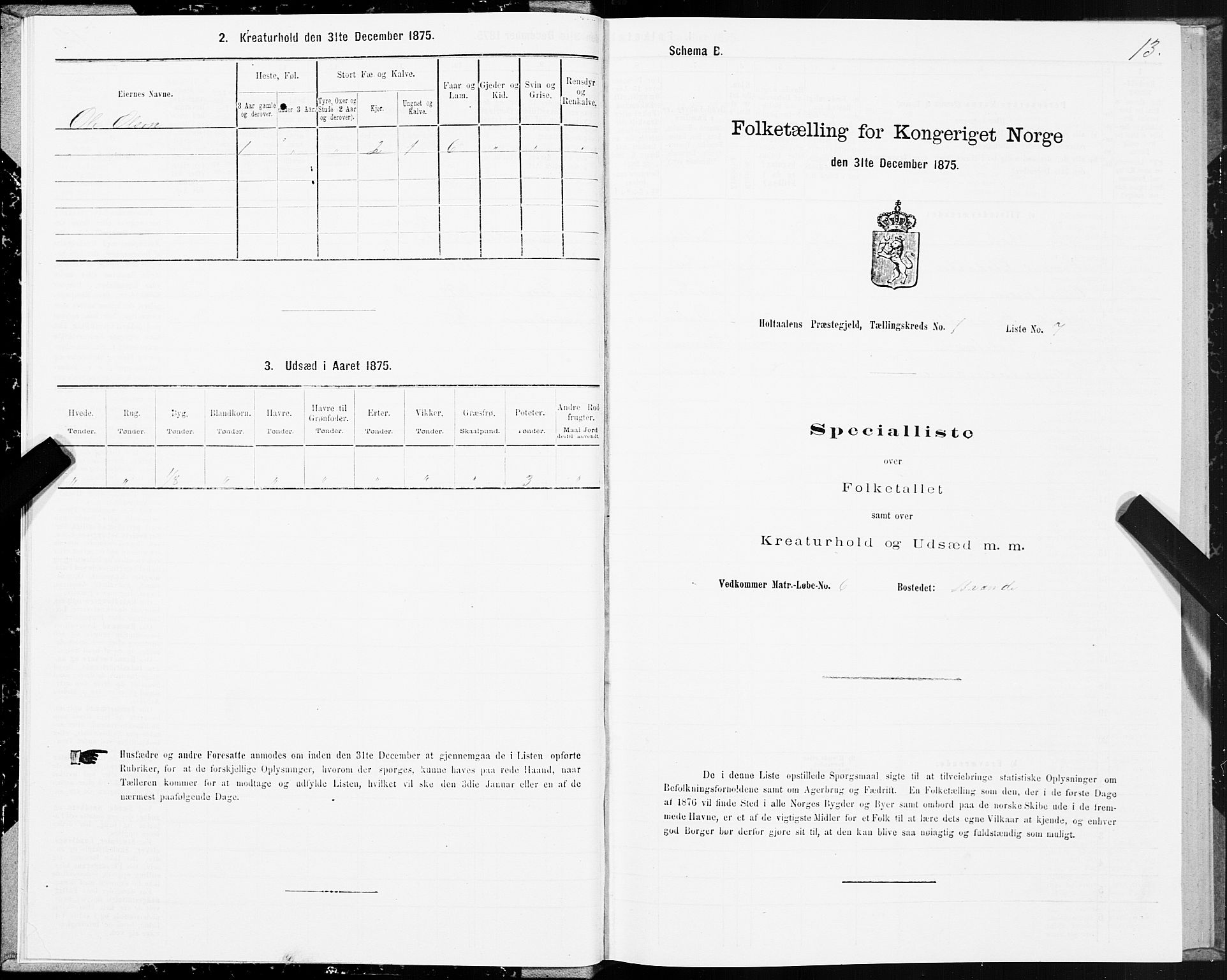 SAT, 1875 census for 1645P Haltdalen, 1875, p. 1013