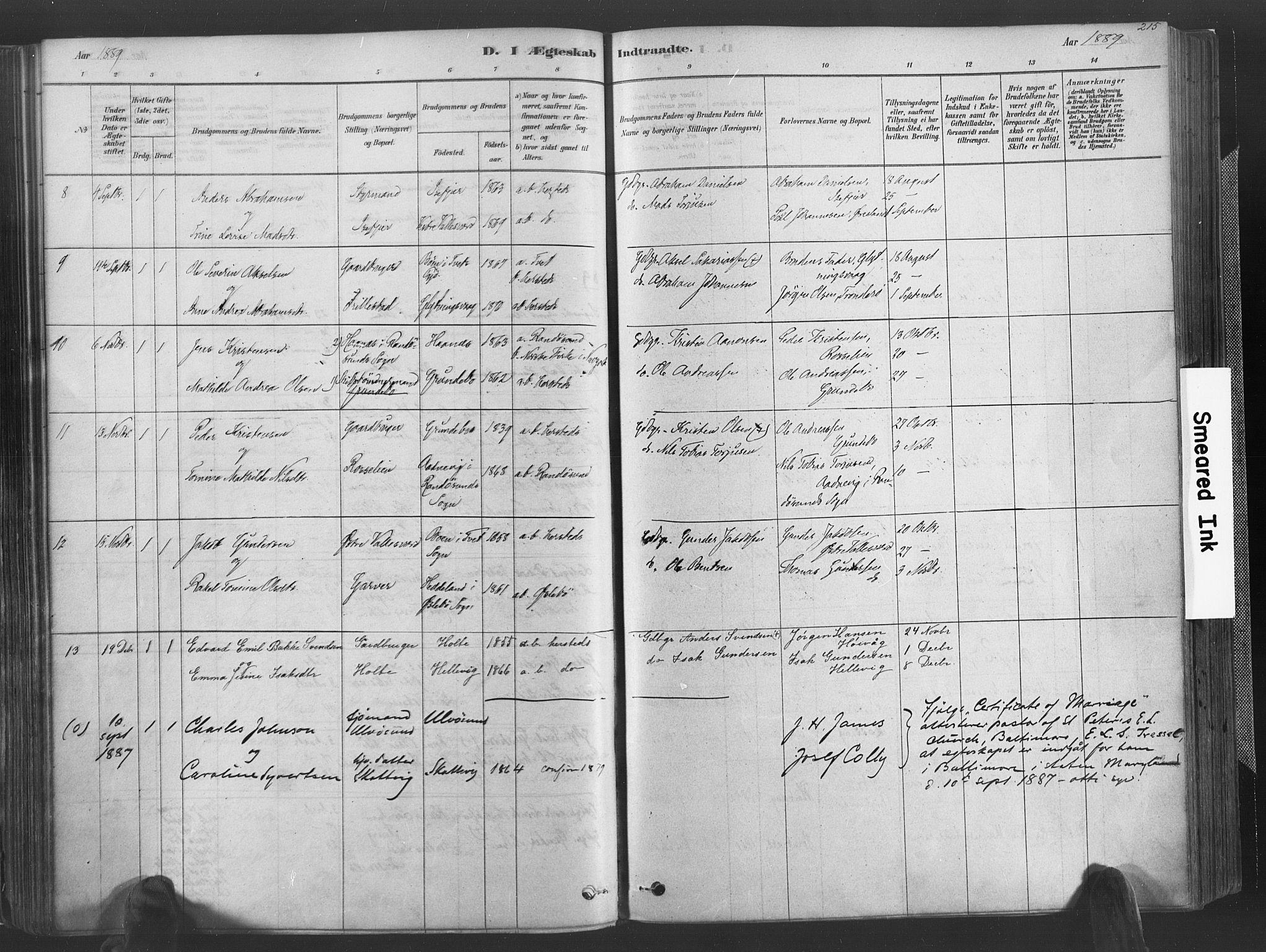 Høvåg sokneprestkontor, SAK/1111-0025/F/Fa/L0005: Parish register (official) no. A 5, 1878-1893, p. 215