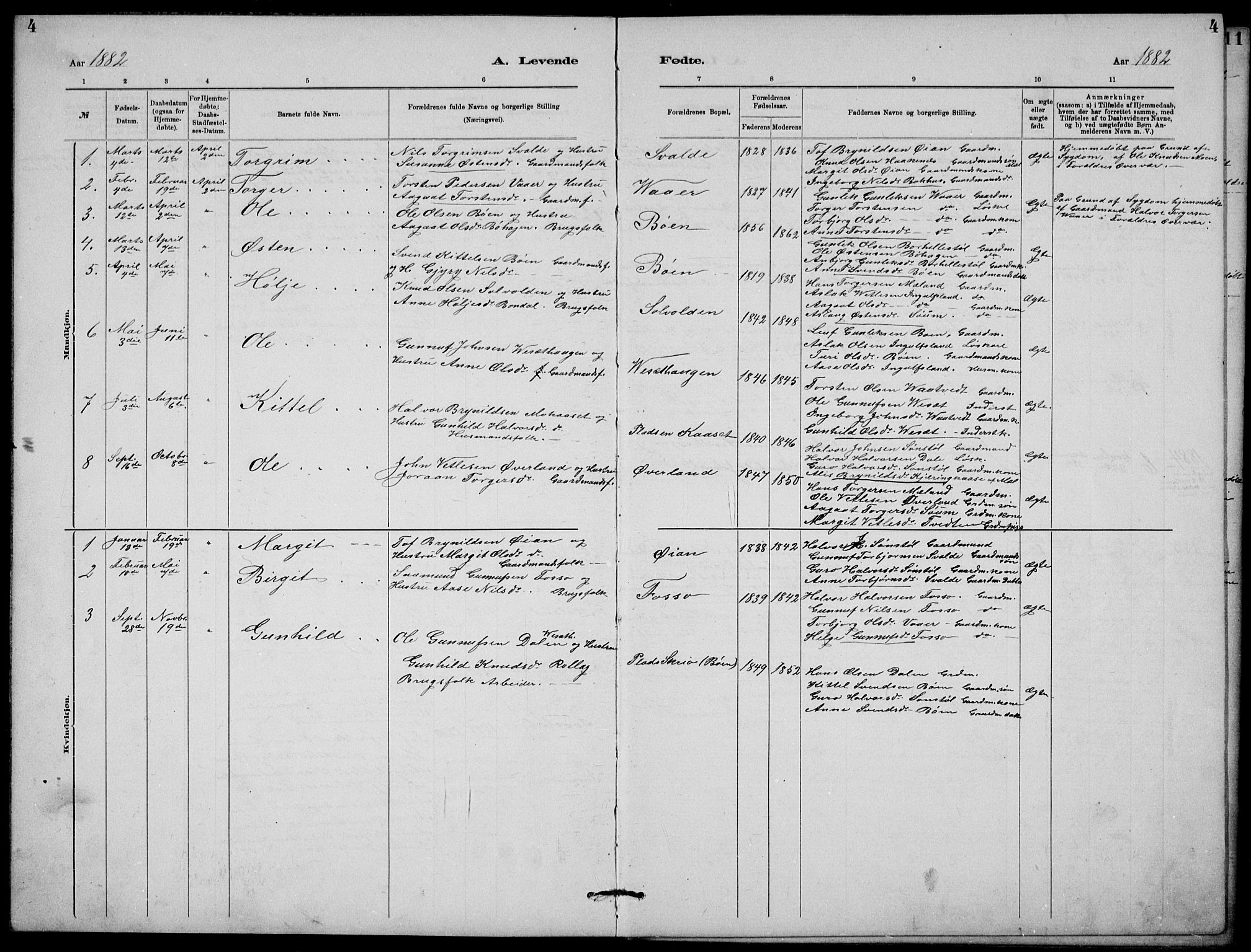 Rjukan kirkebøker, SAKO/A-294/G/Ga/L0001: Parish register (copy) no. 1, 1880-1914, p. 4