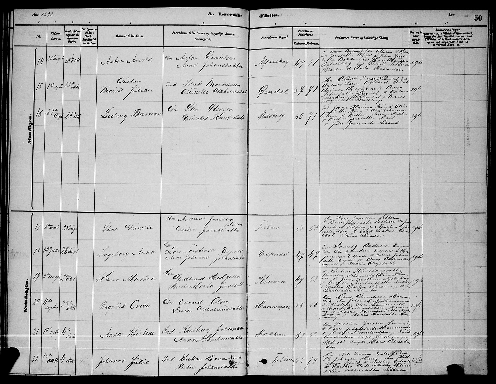 Ministerialprotokoller, klokkerbøker og fødselsregistre - Sør-Trøndelag, SAT/A-1456/641/L0597: Parish register (copy) no. 641C01, 1878-1893, p. 50