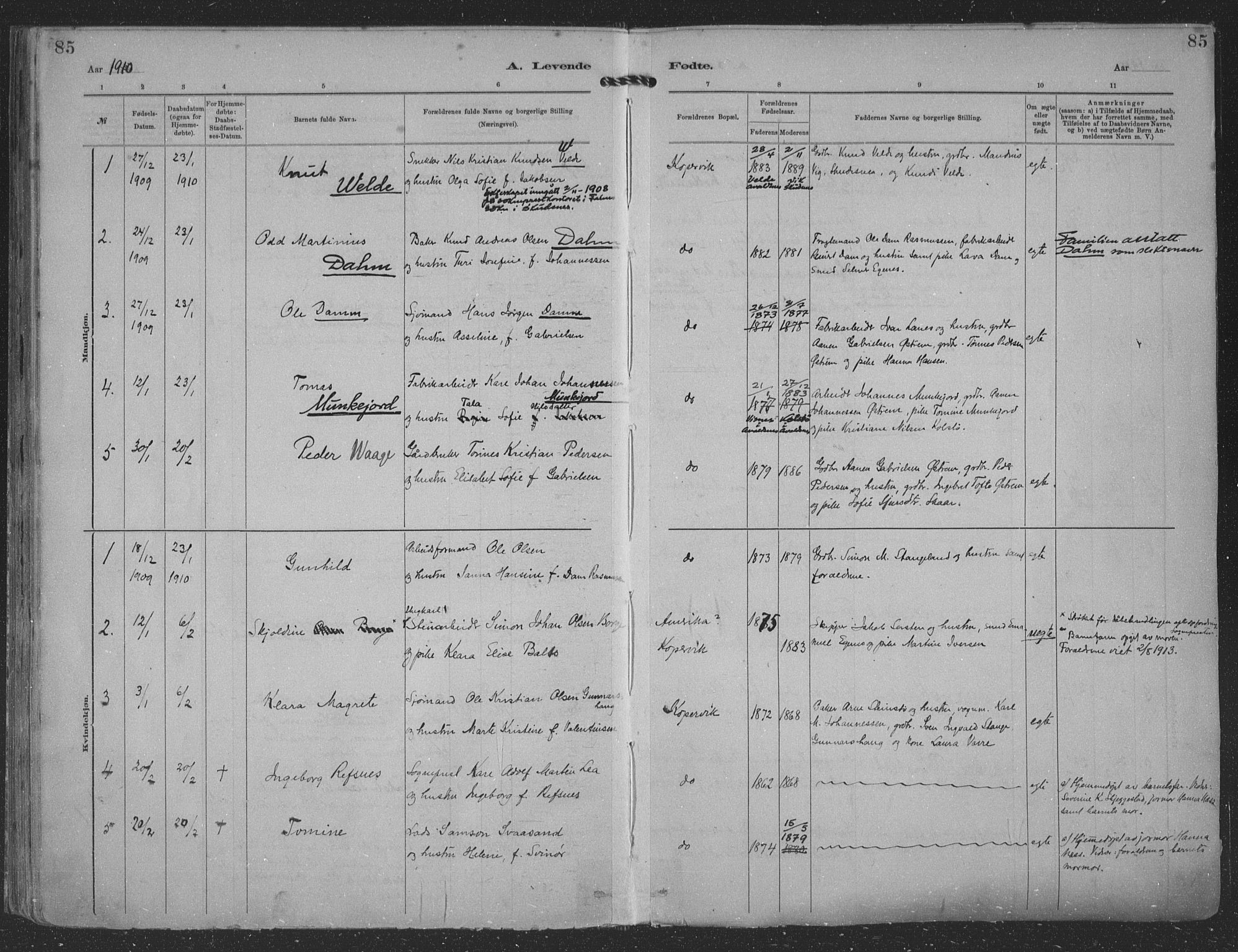 Kopervik sokneprestkontor, SAST/A-101850/H/Ha/Haa/L0001: Parish register (official) no. A 1, 1880-1919, p. 85