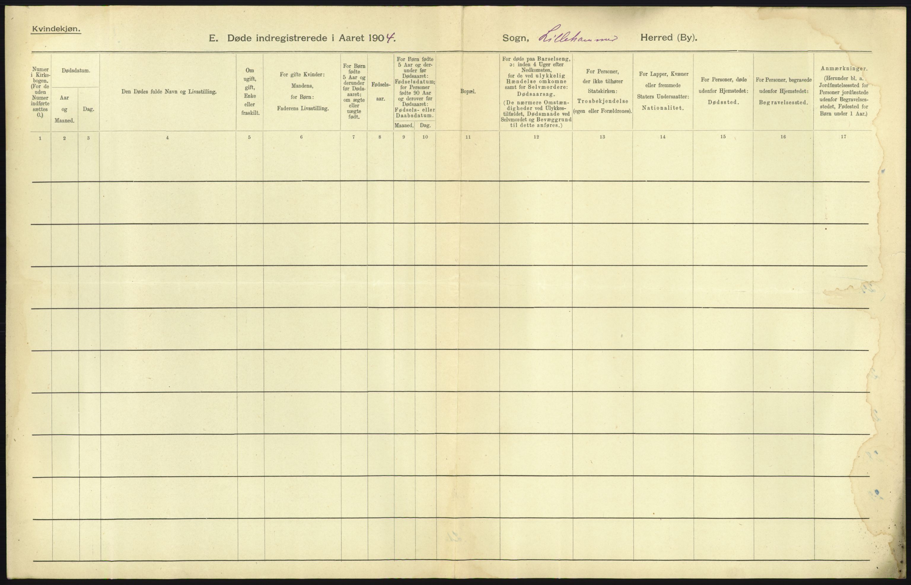 Statistisk sentralbyrå, Sosiodemografiske emner, Befolkning, AV/RA-S-2228/D/Df/Dfa/Dfab/L0006: Kristians amt: Fødte, gifte, døde, 1904, p. 891