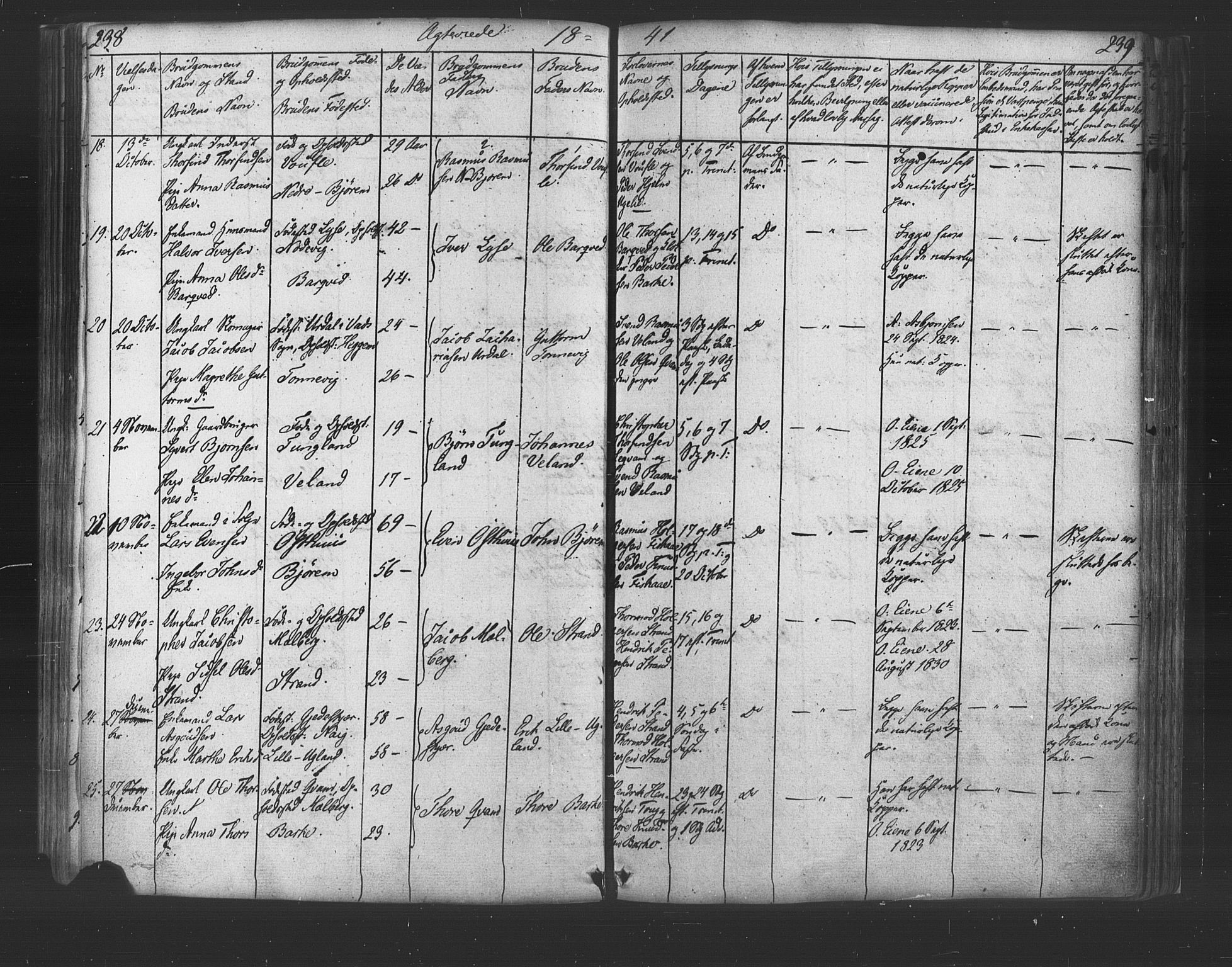 Strand sokneprestkontor, SAST/A-101828/H/Ha/Haa/L0006: Parish register (official) no. A 6, 1834-1854, p. 238-239