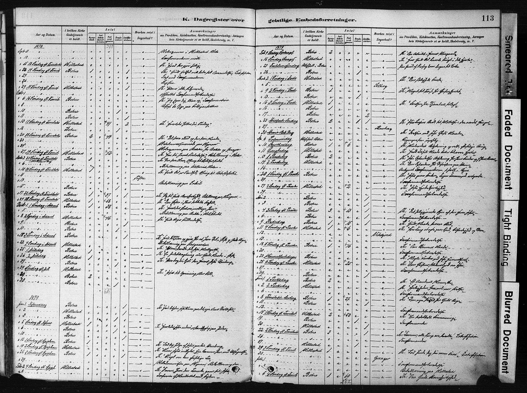 Botne kirkebøker, AV/SAKO-A-340/F/Fb/L0001: Parish register (official) no. II 1, 1878-1902, p. 113