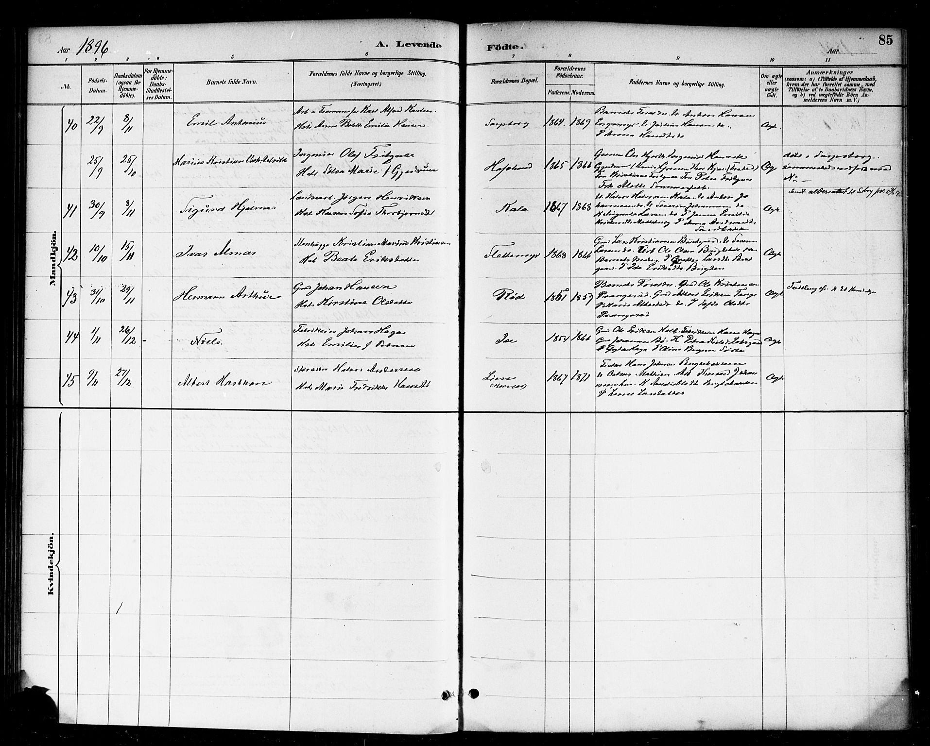 Skjeberg prestekontor Kirkebøker, SAO/A-10923/F/Fa/L0009: Parish register (official) no. I 9, 1886-1897, p. 85